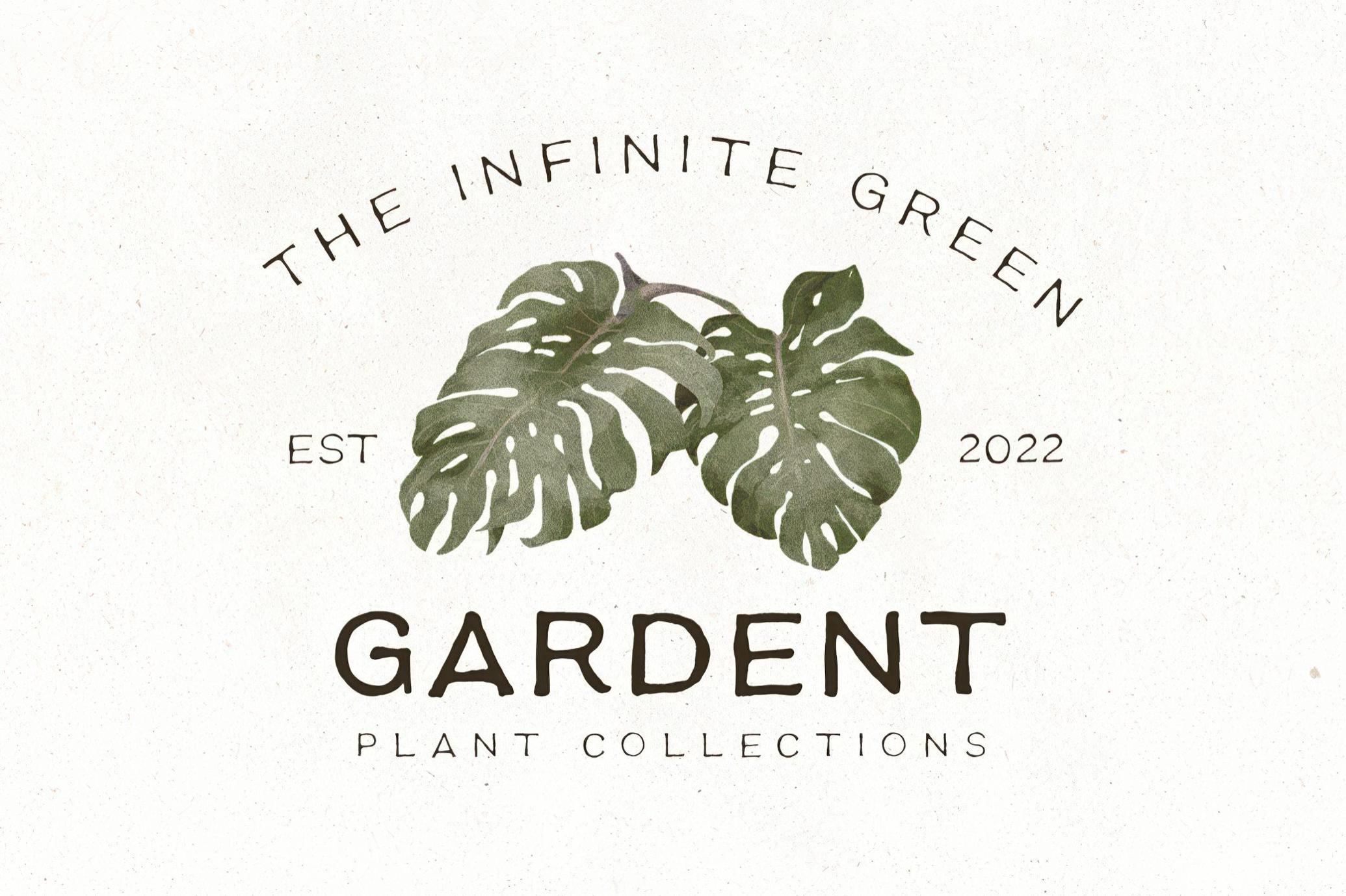 Earth Tone — Organic Sans Family