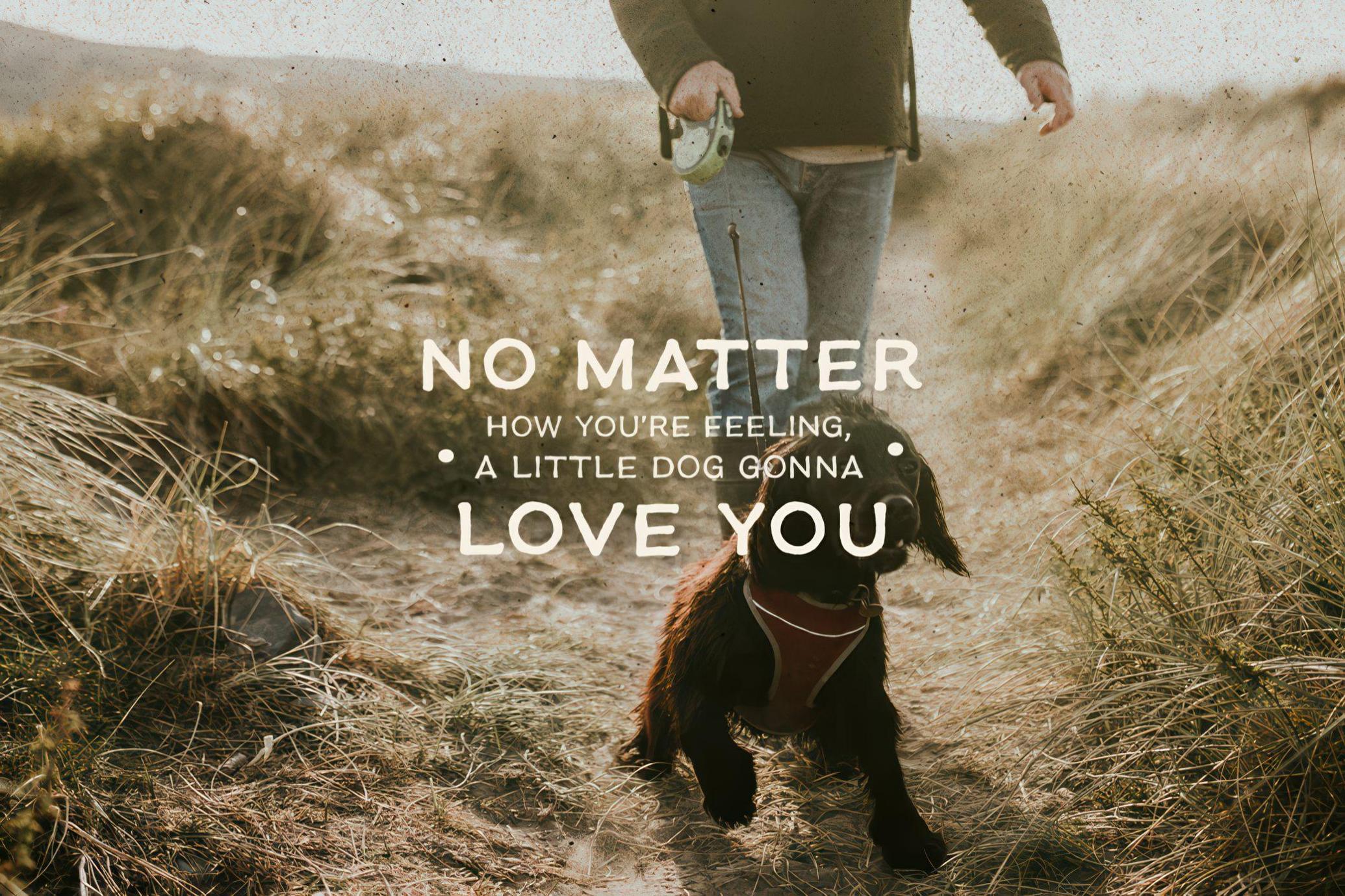 Earth Tone — Organic Sans Family