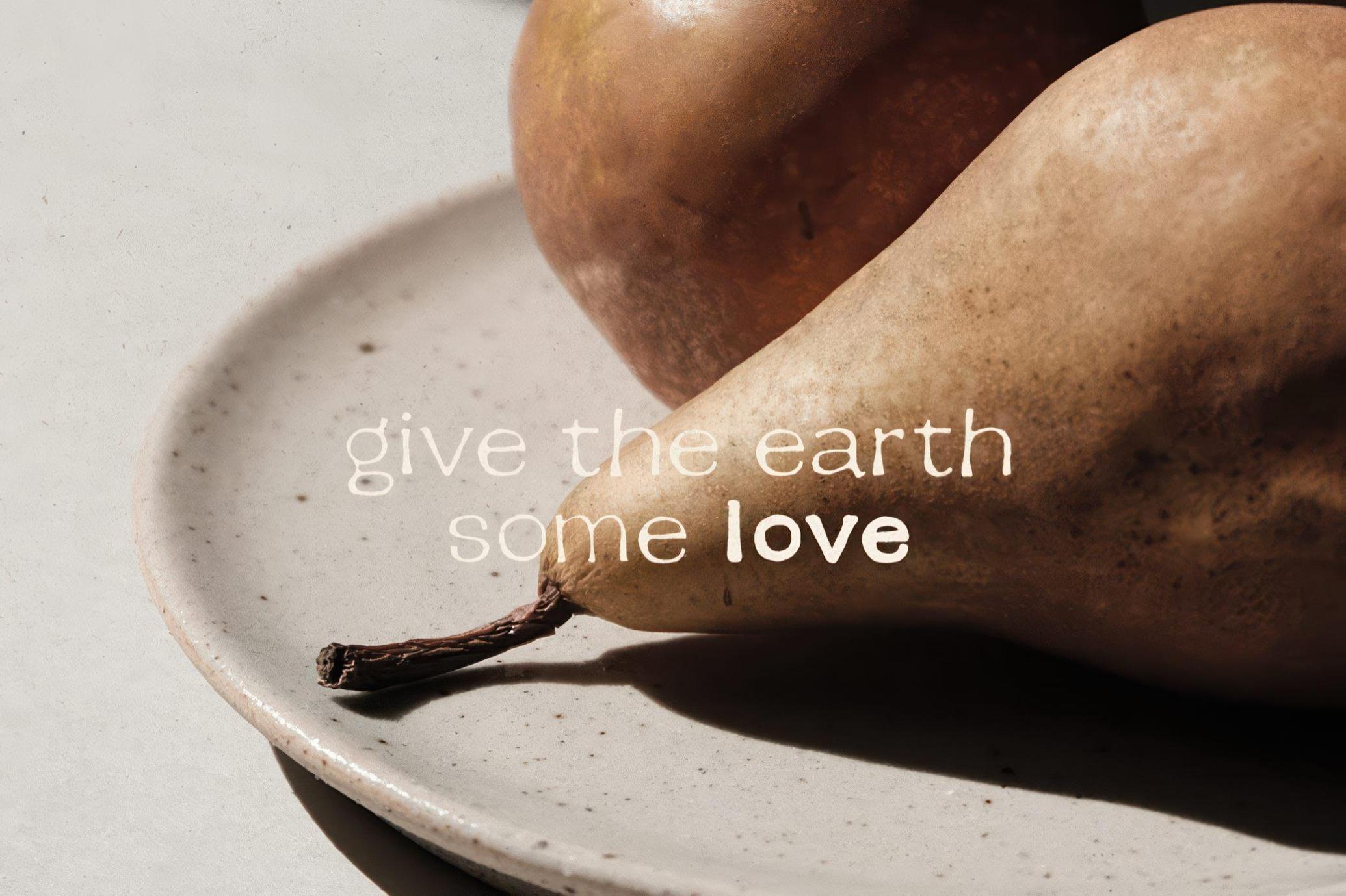 Earth Tone — Organic Sans Family