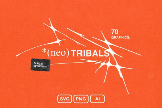 NEO Tribals Graphics Pack