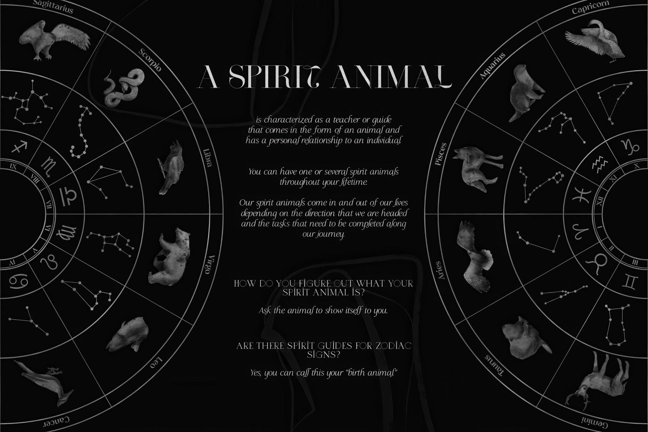 Spirit Animals. Oracle Cards