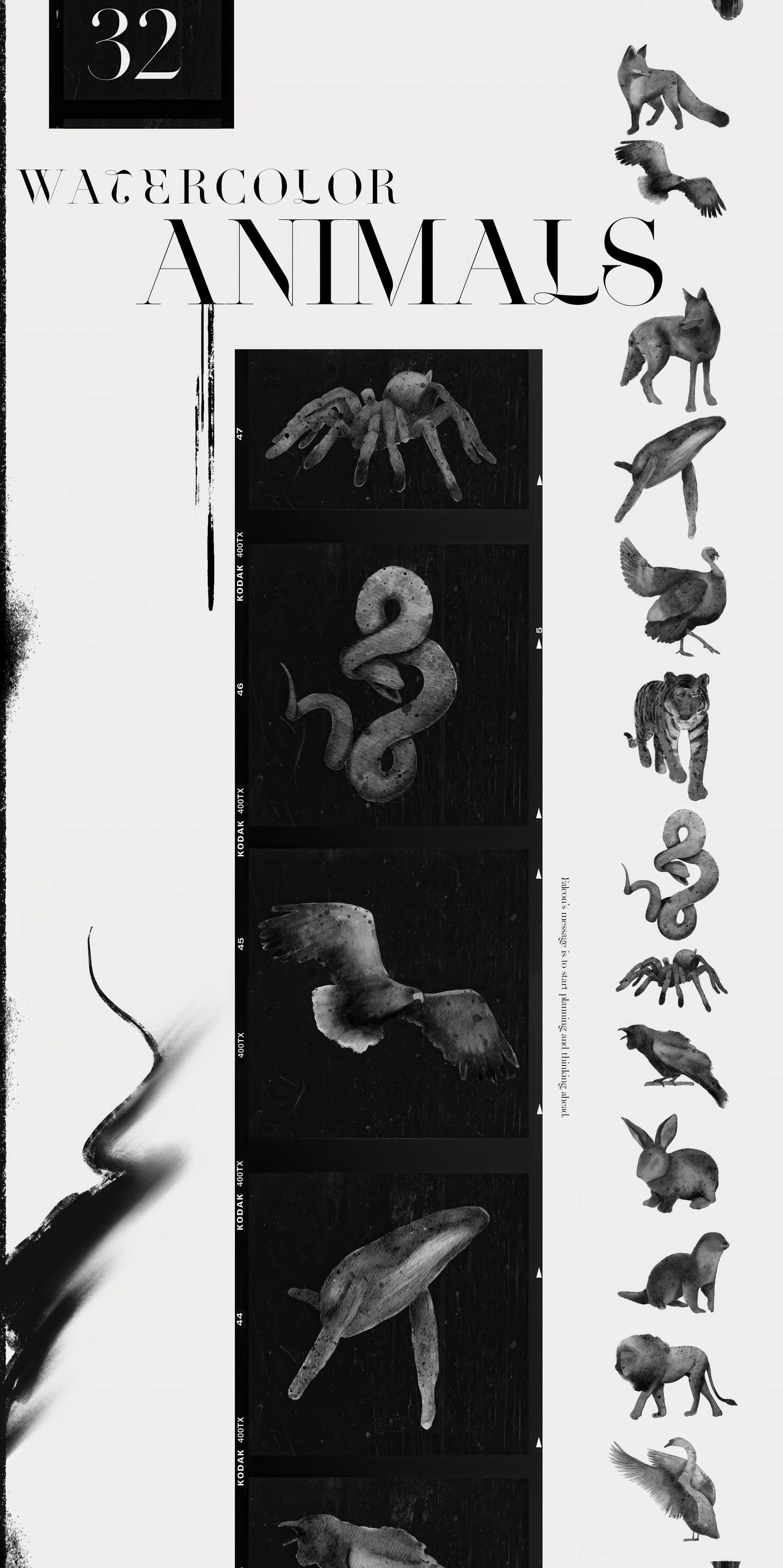 Spirit Animals. Oracle Cards