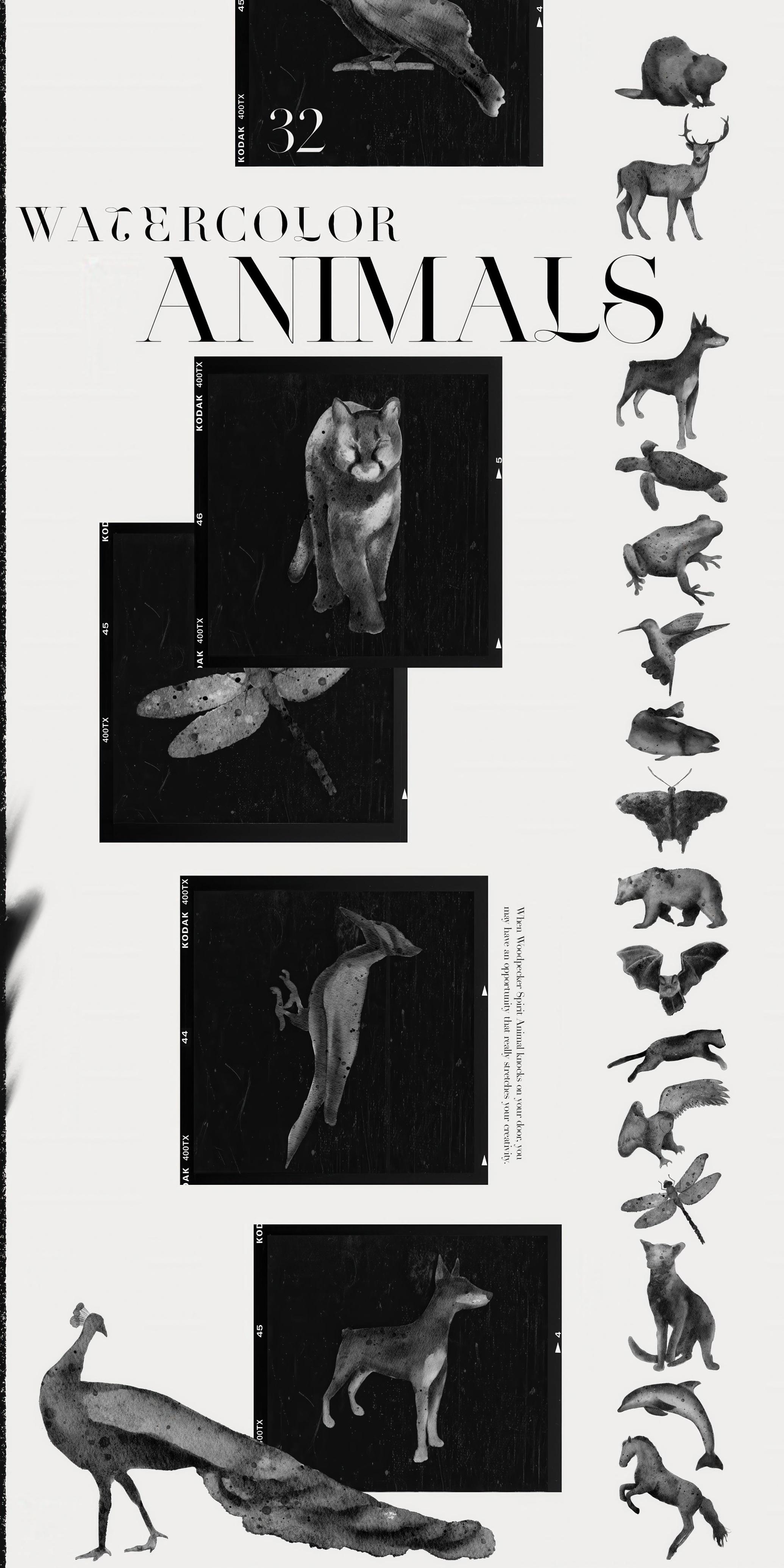 Spirit Animals. Oracle Cards