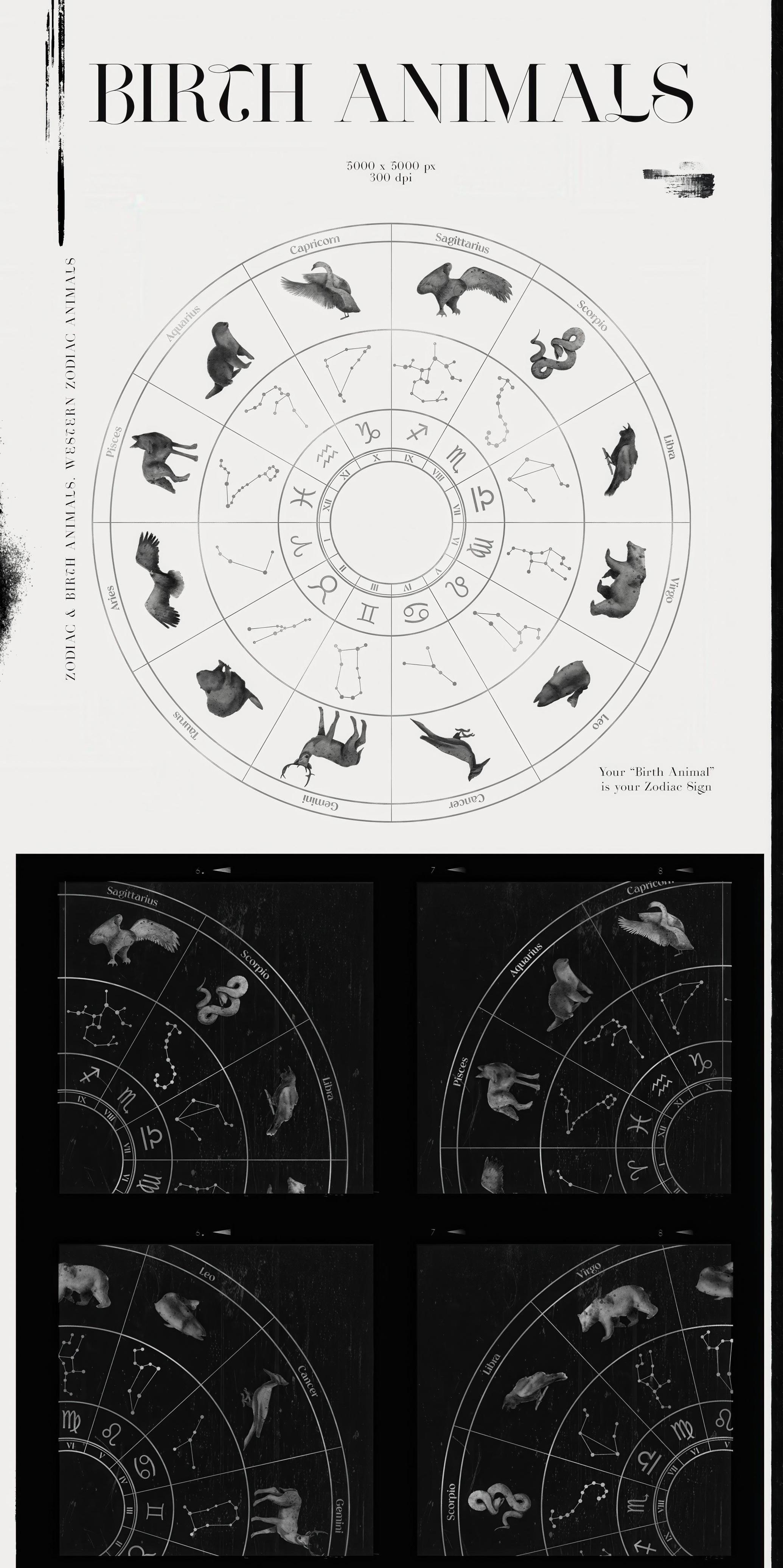 Spirit Animals. Oracle Cards