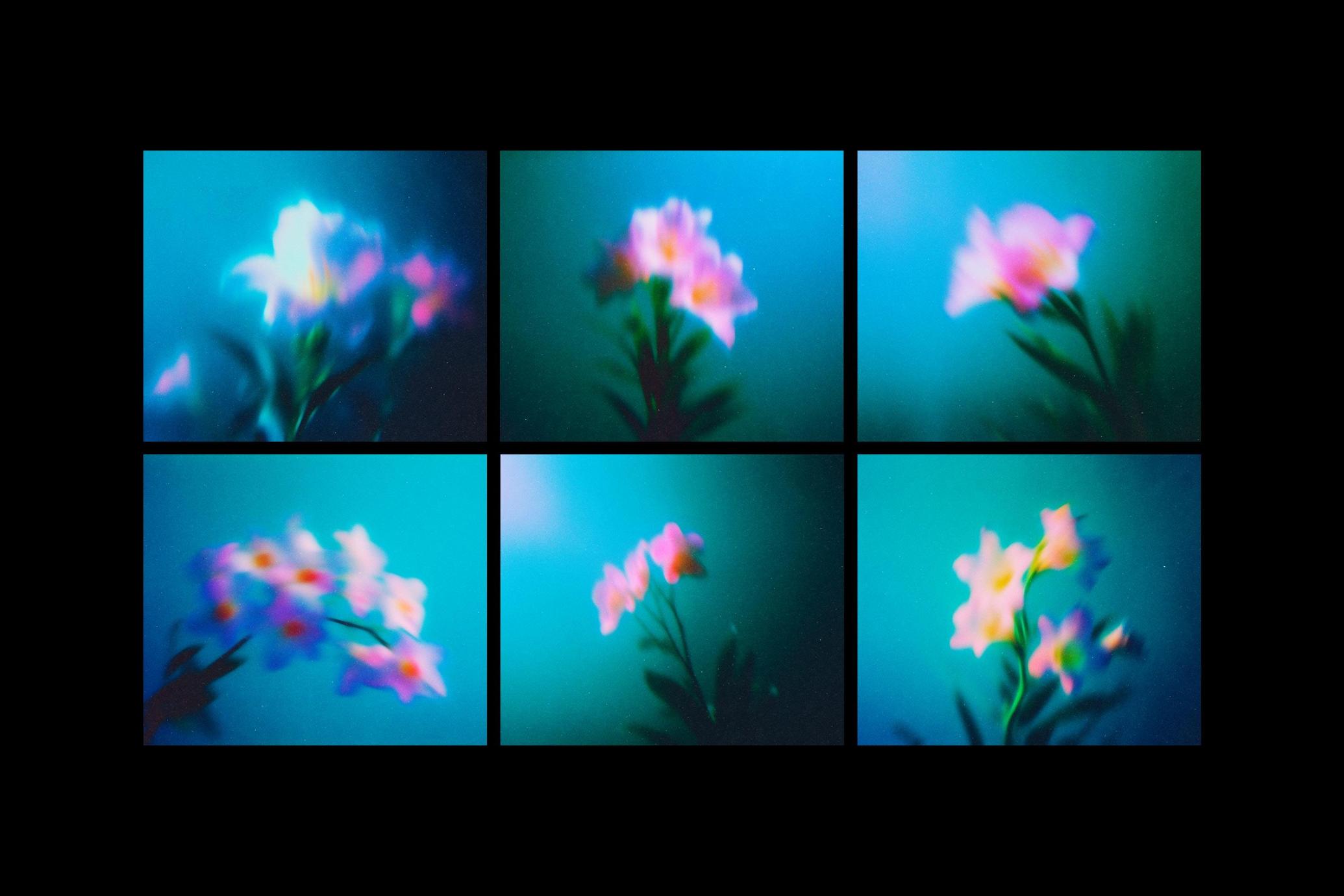 Abstract Blurred Flowers Backgrounds Pack