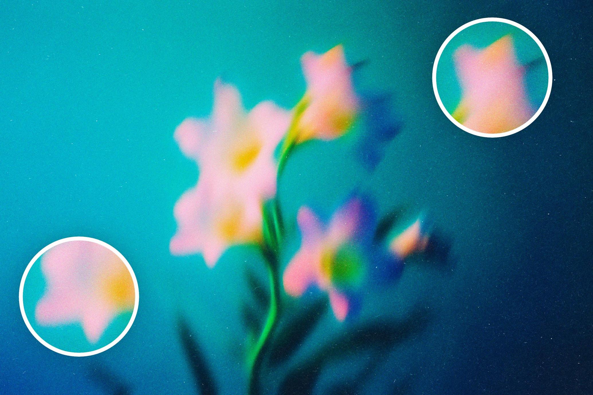 Abstract Blurred Flowers Backgrounds Pack