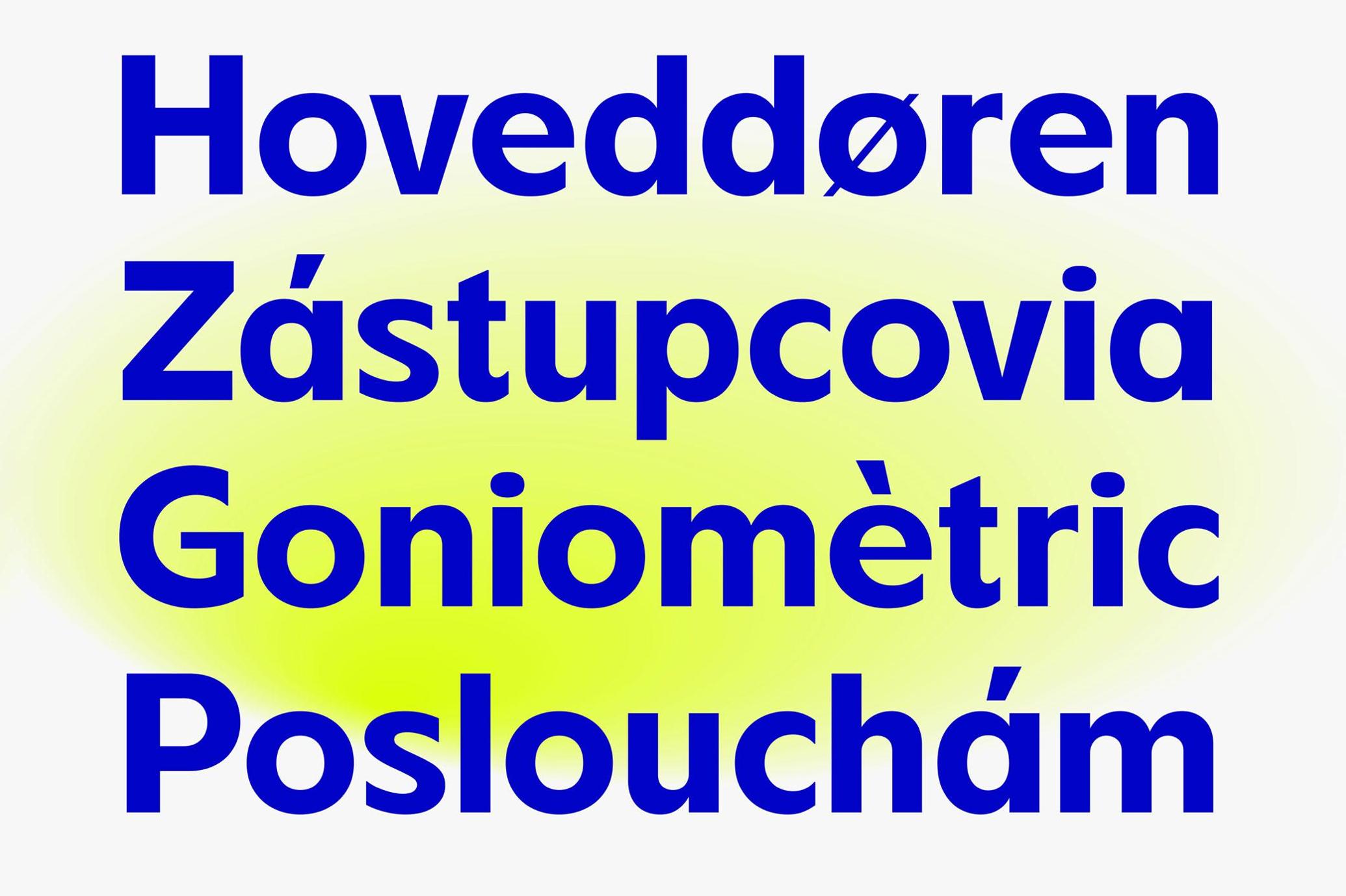 FBS Chopen Sans