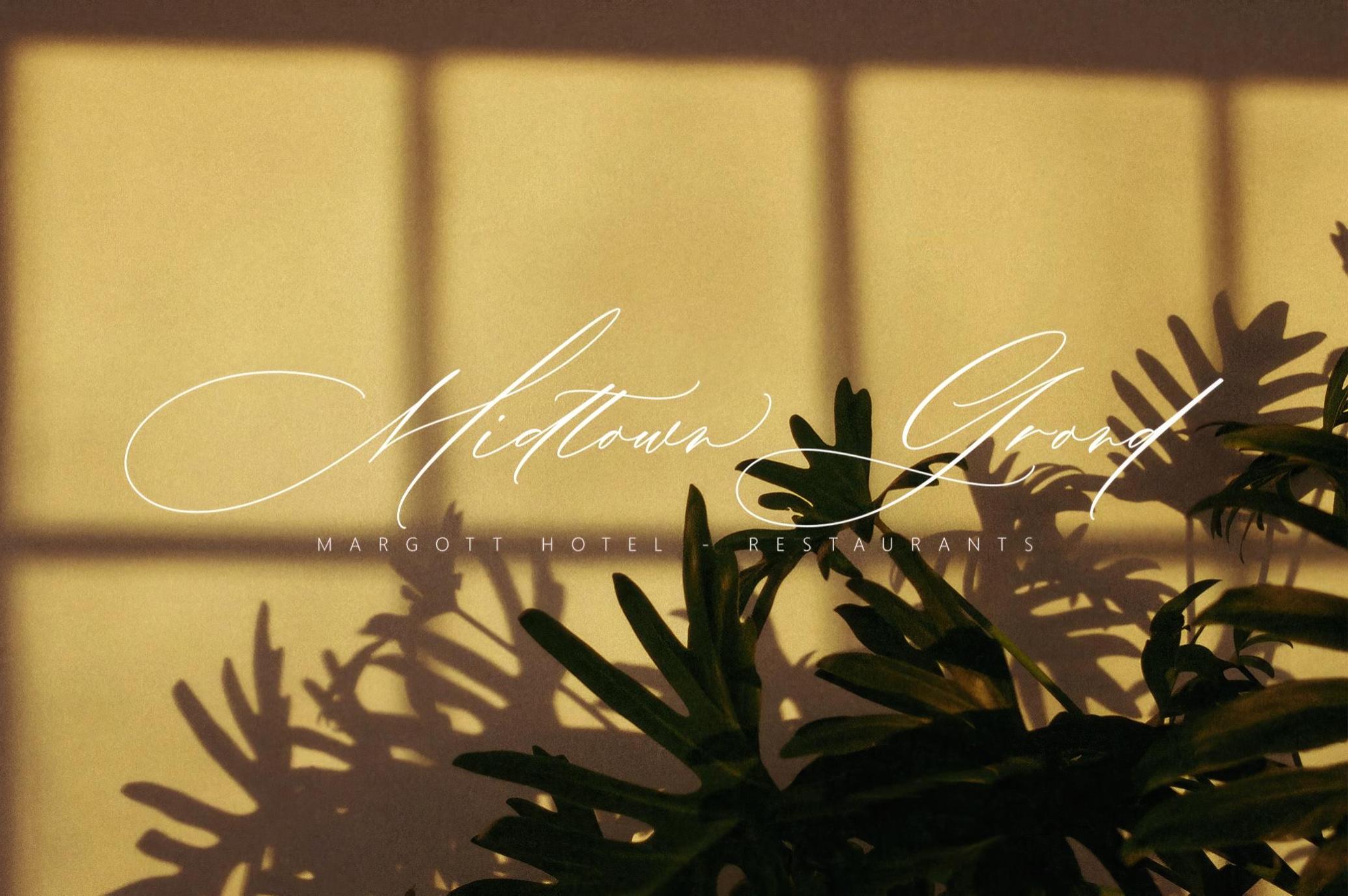 Aline Barton Script