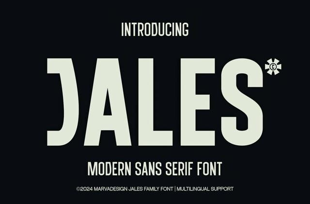 JALES Modern Sans Serif Font