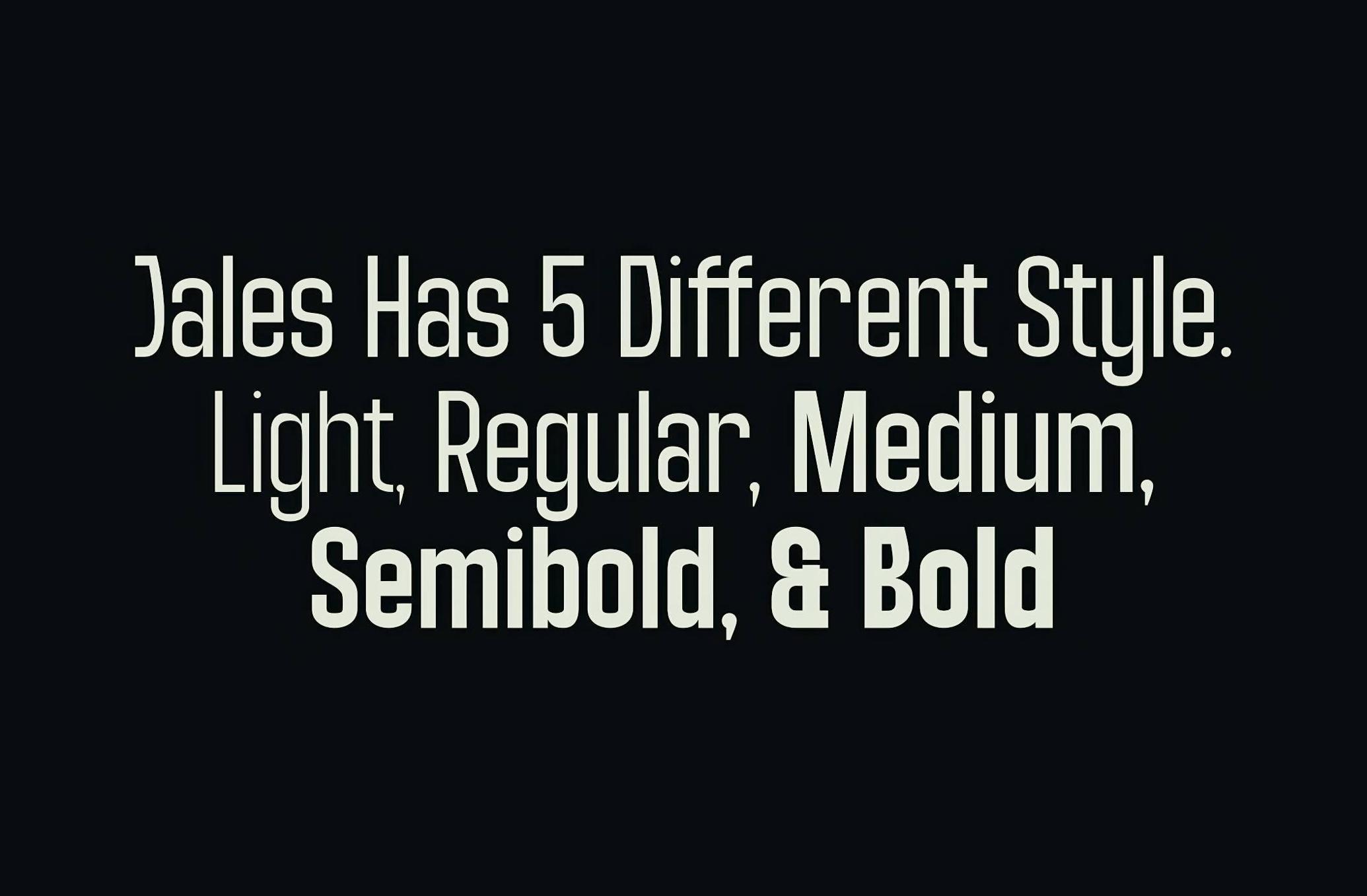 JALES Modern Sans Serif Font