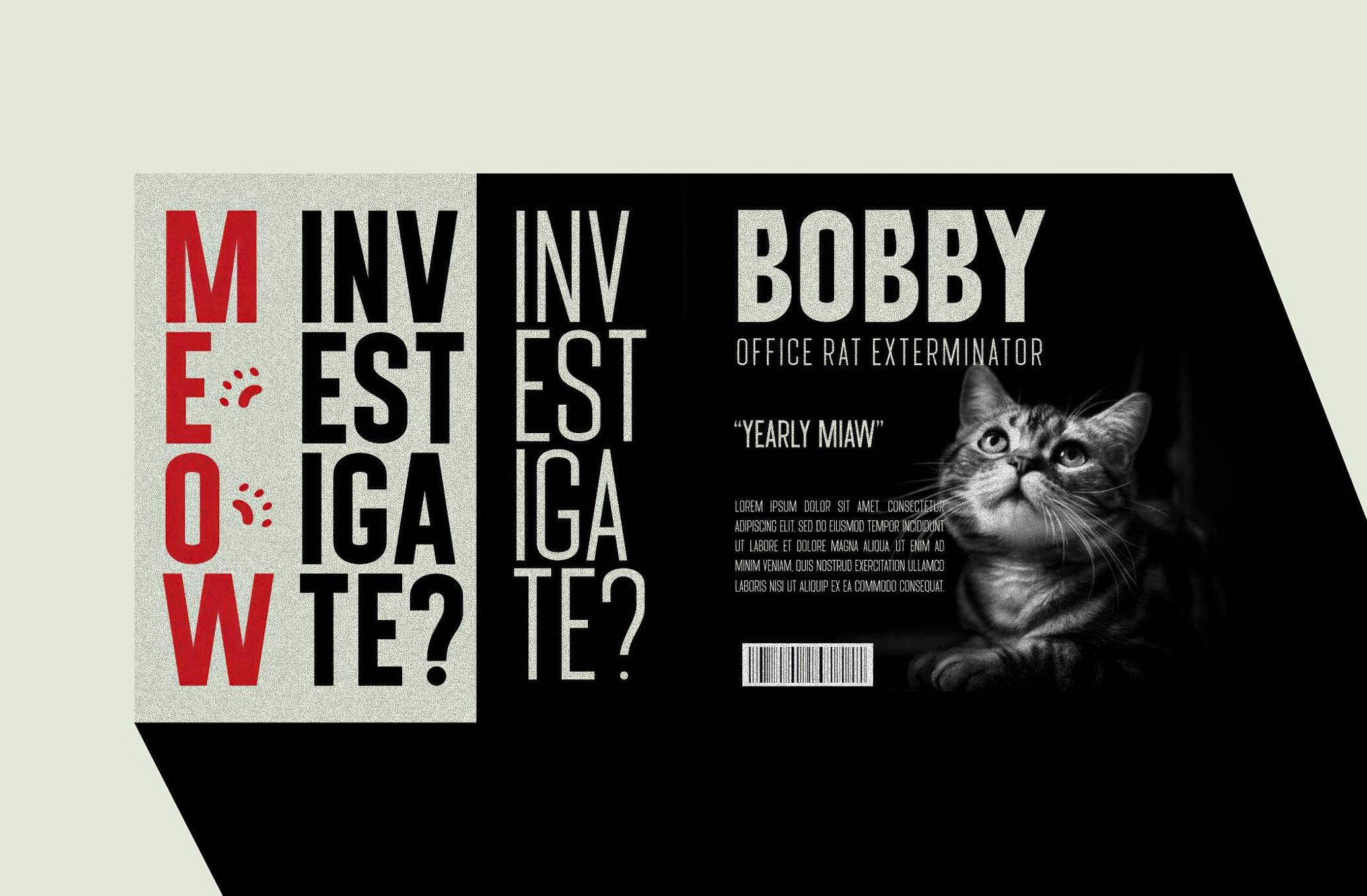 JALES Modern Sans Serif Font