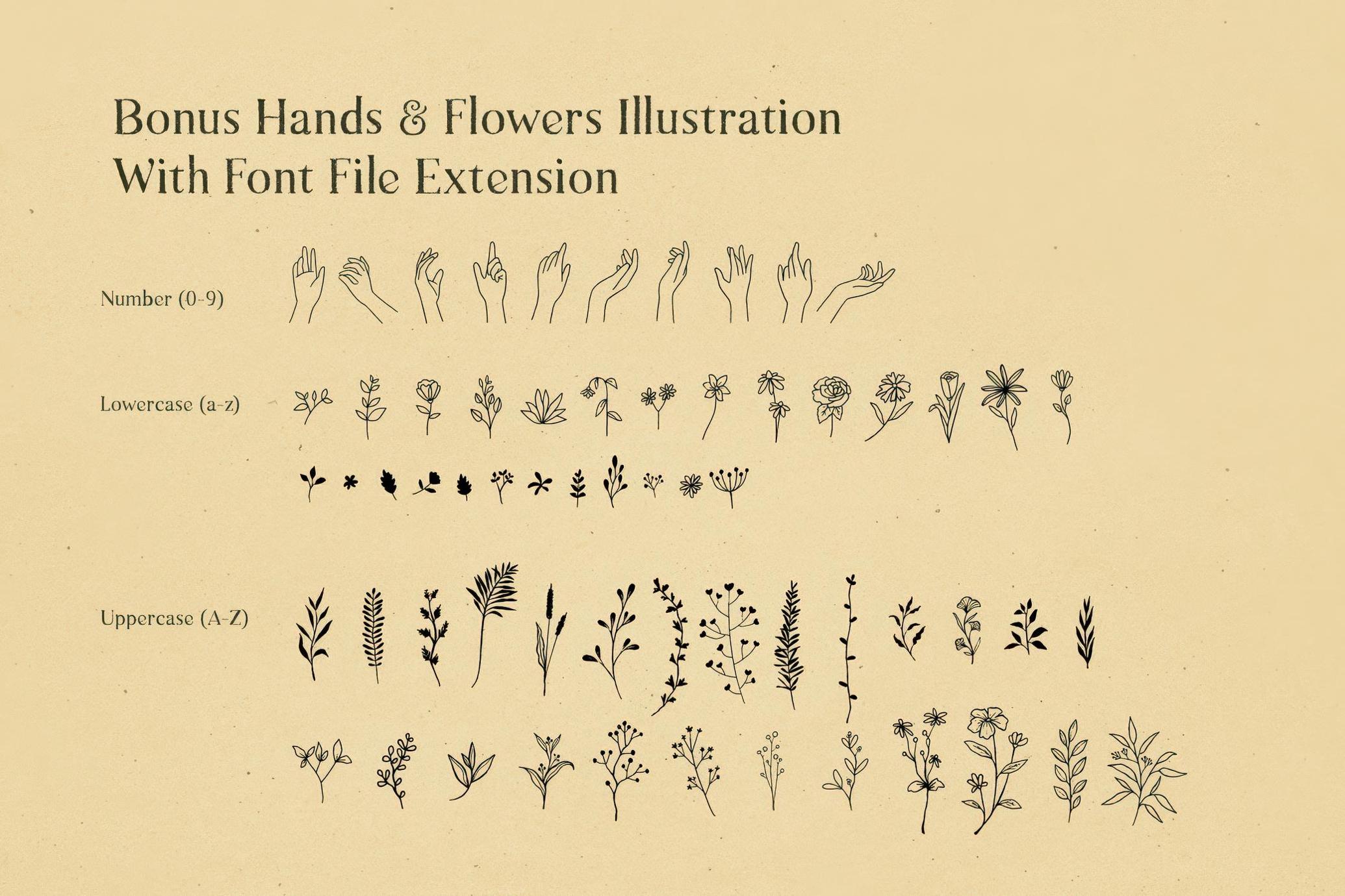 Natural Comforts — Rough Serif