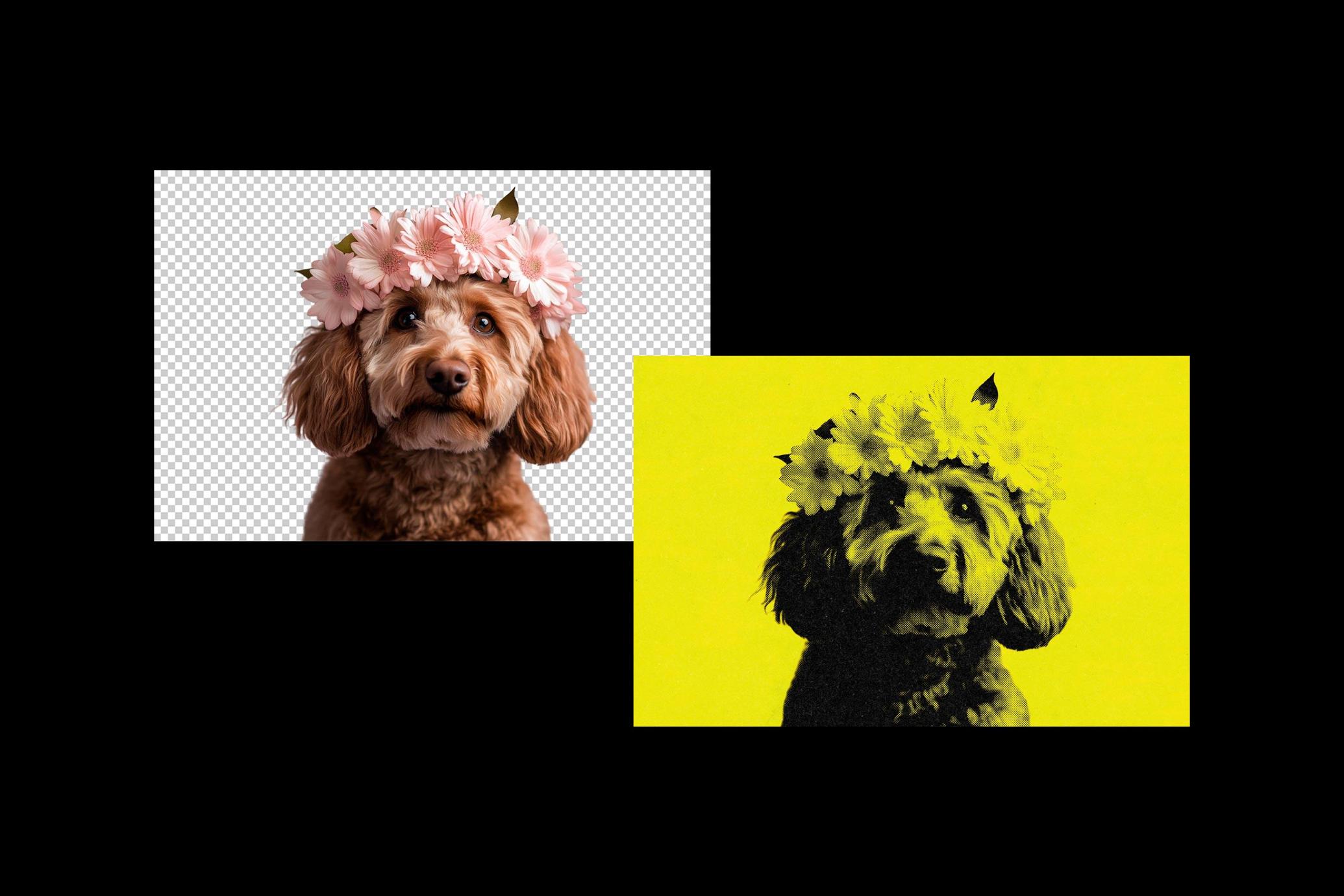Duotone Halftone Photo Template