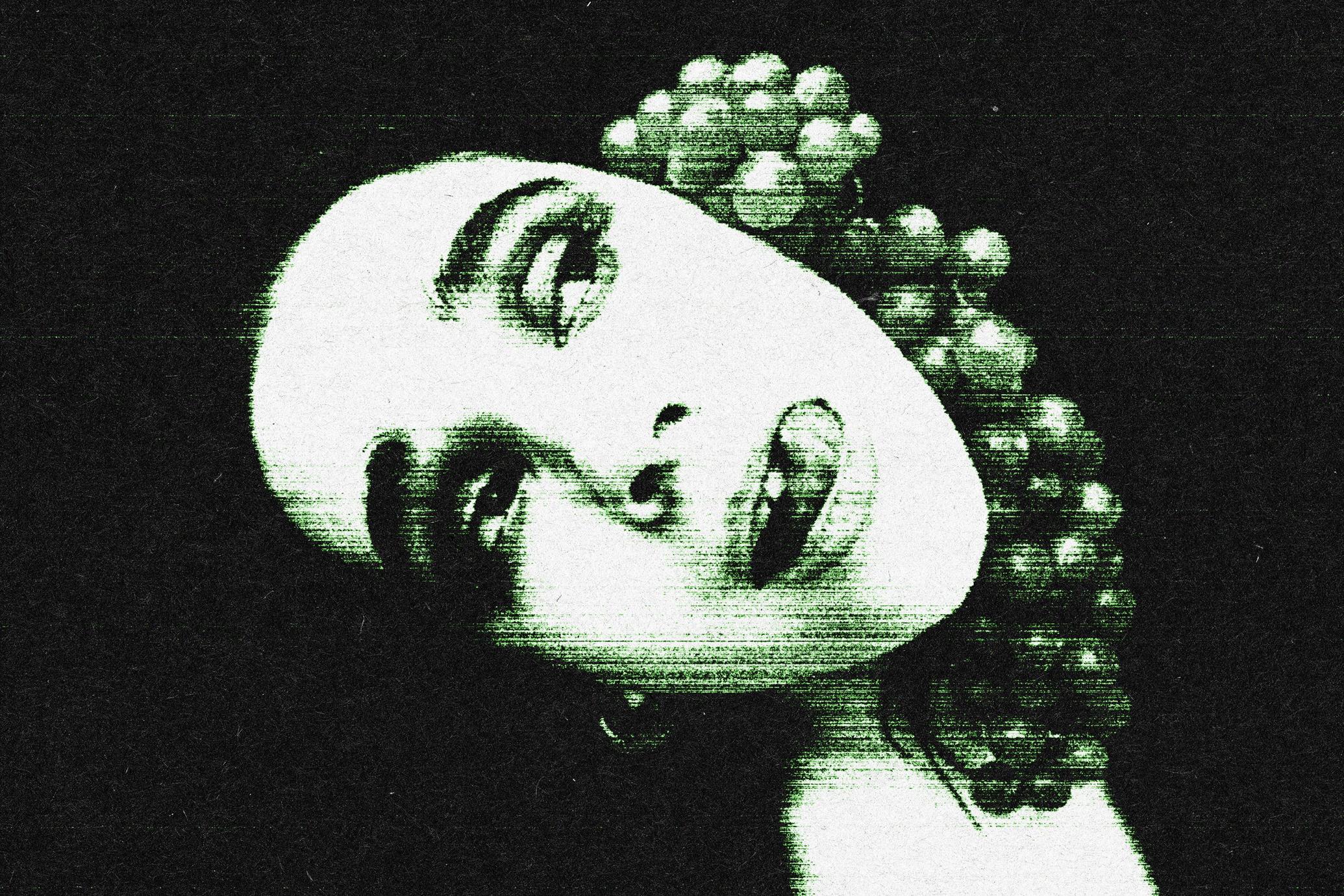 Copy Photo Effect
