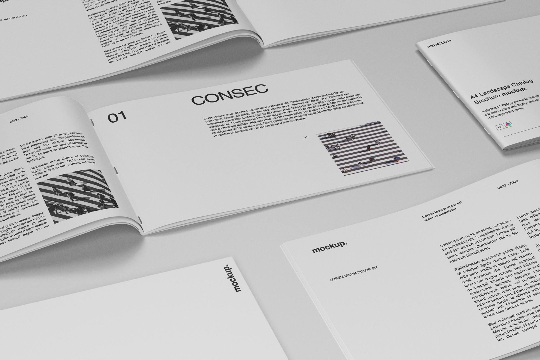 Landscape Booklet Flatlay Mockup
