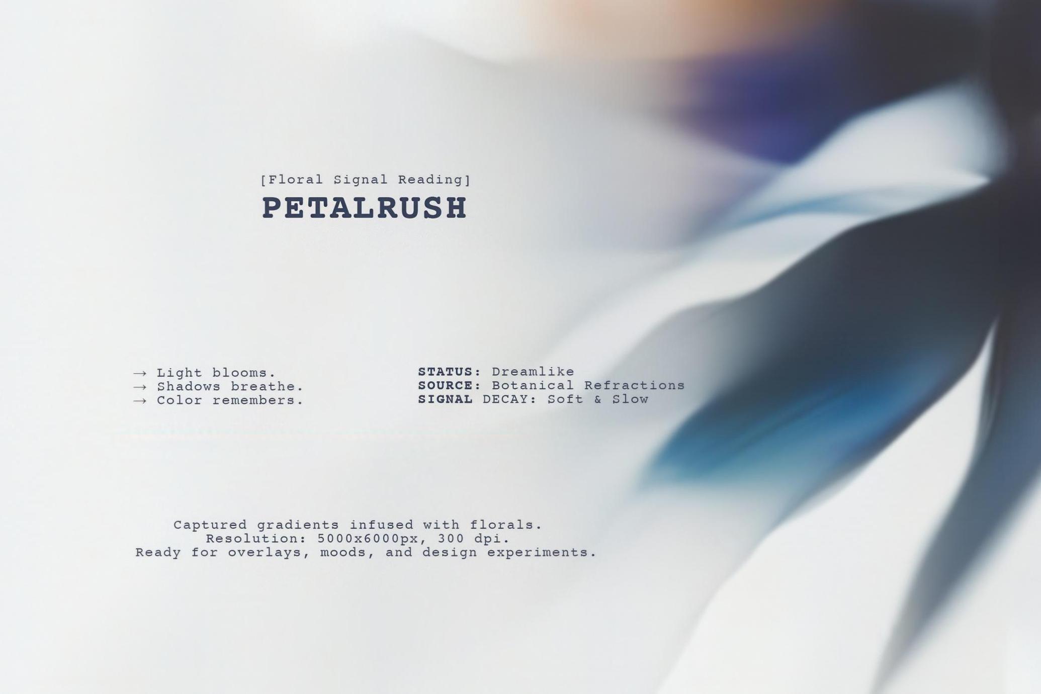 PETALRUSH: Floral Backgrounds