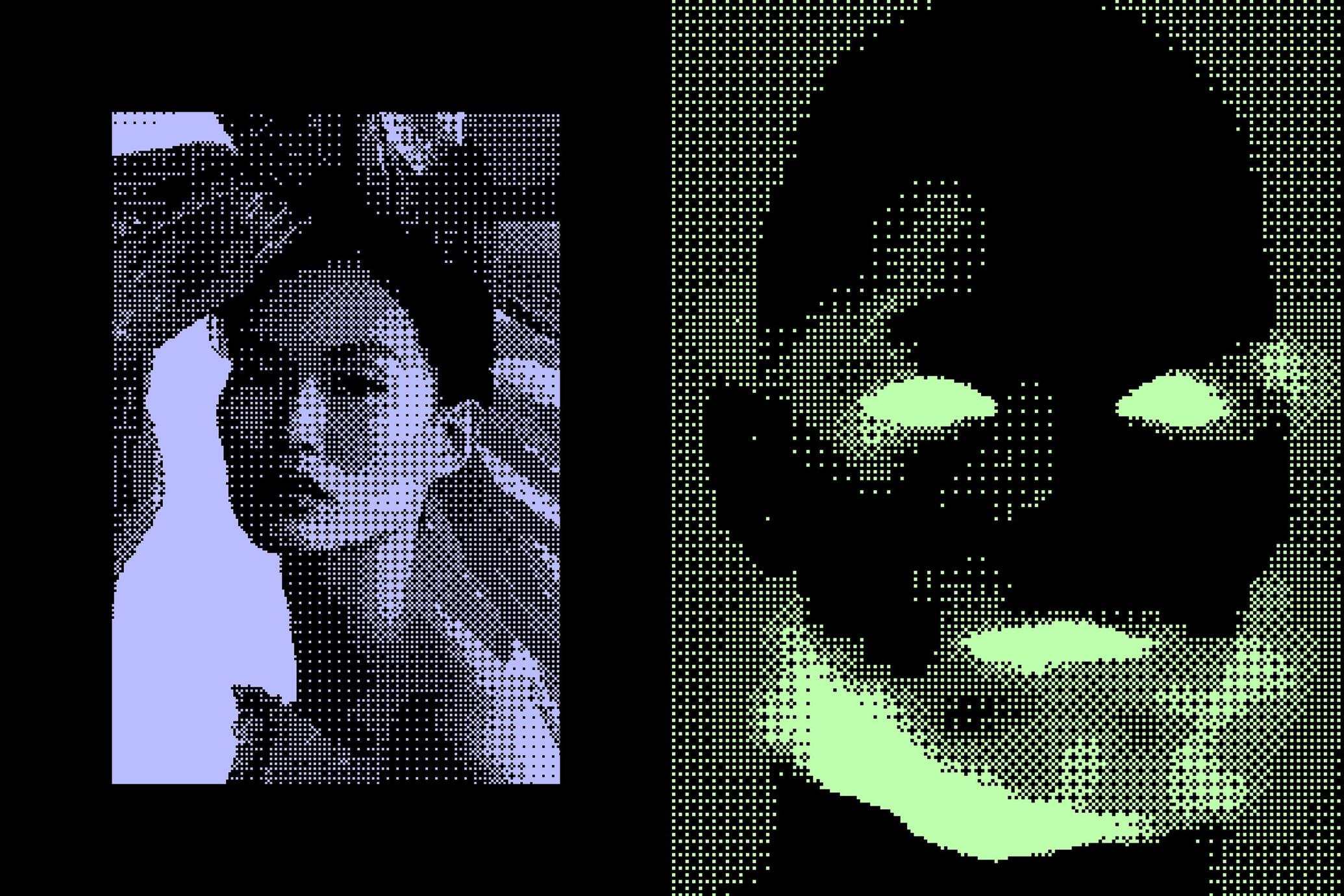 Dithered Bitmap Photo Effect