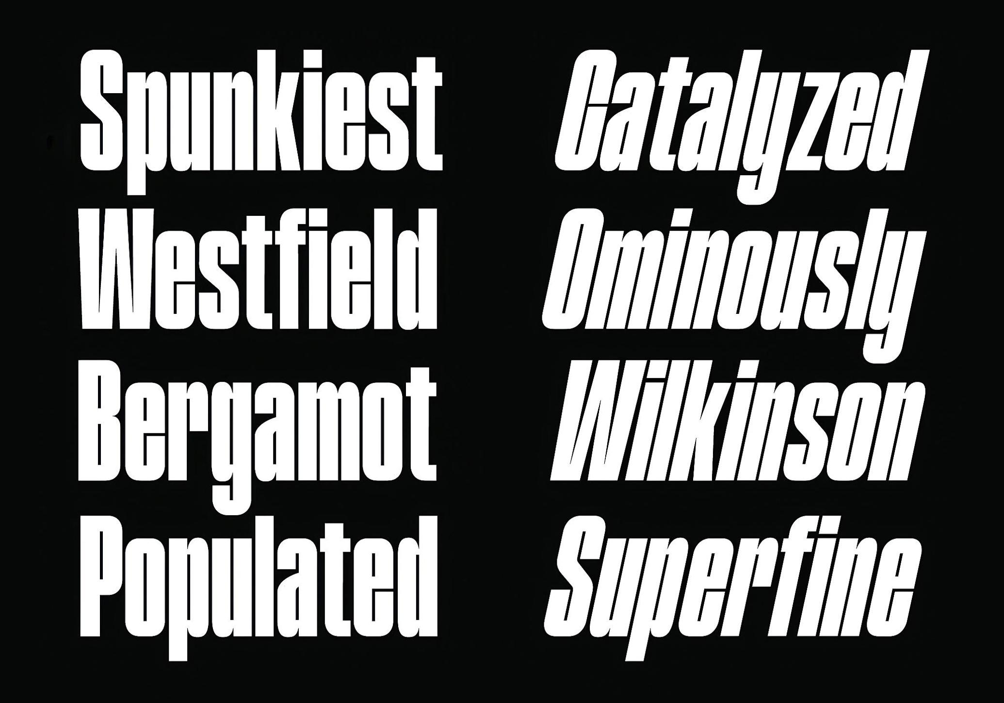 FBS Machro Font