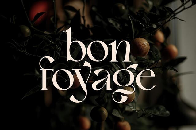 Bon Foyage - Vintage Serif Font