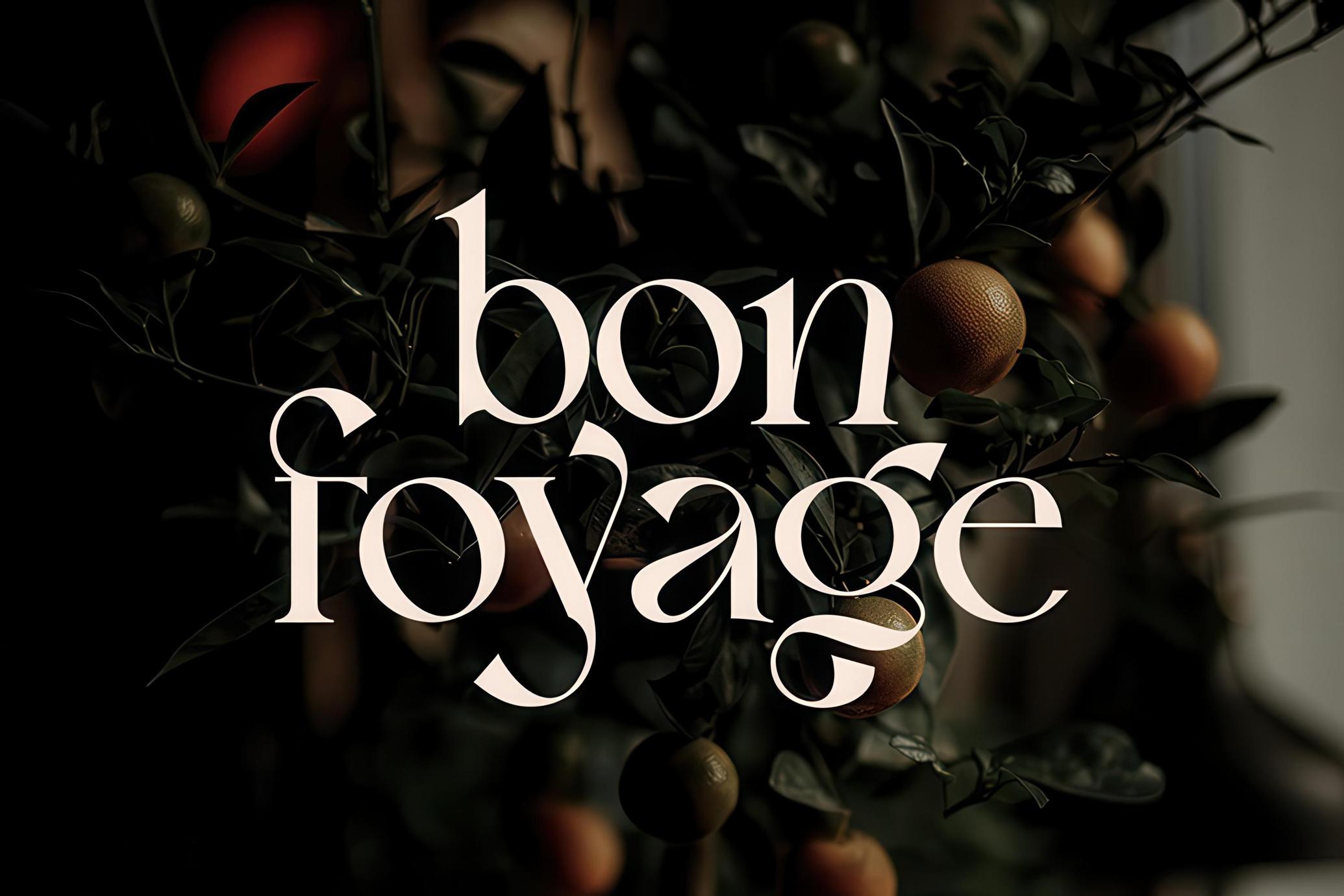 Bon Foyage - Vintage Serif Font
