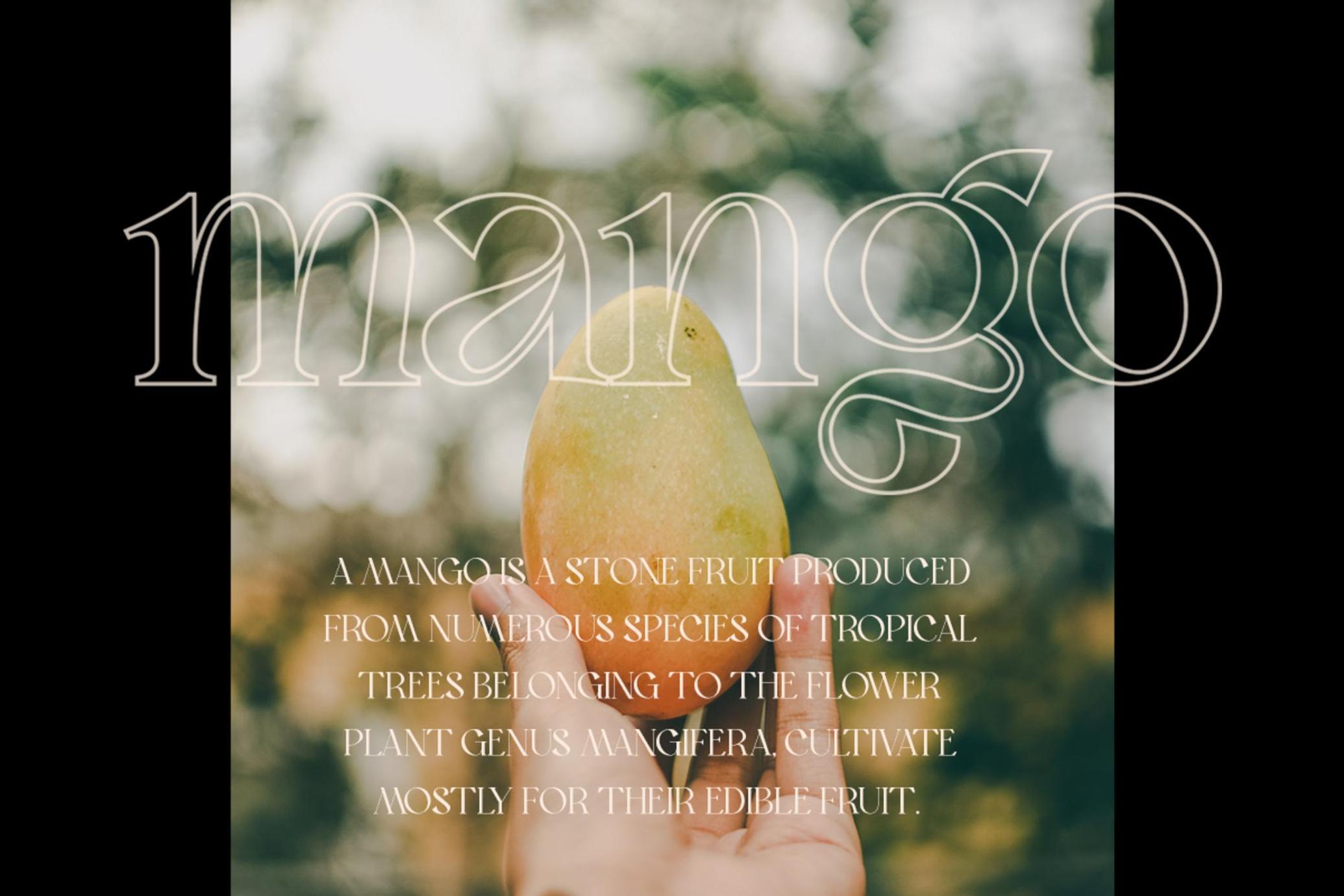 Bon Foyage - Vintage Serif Font