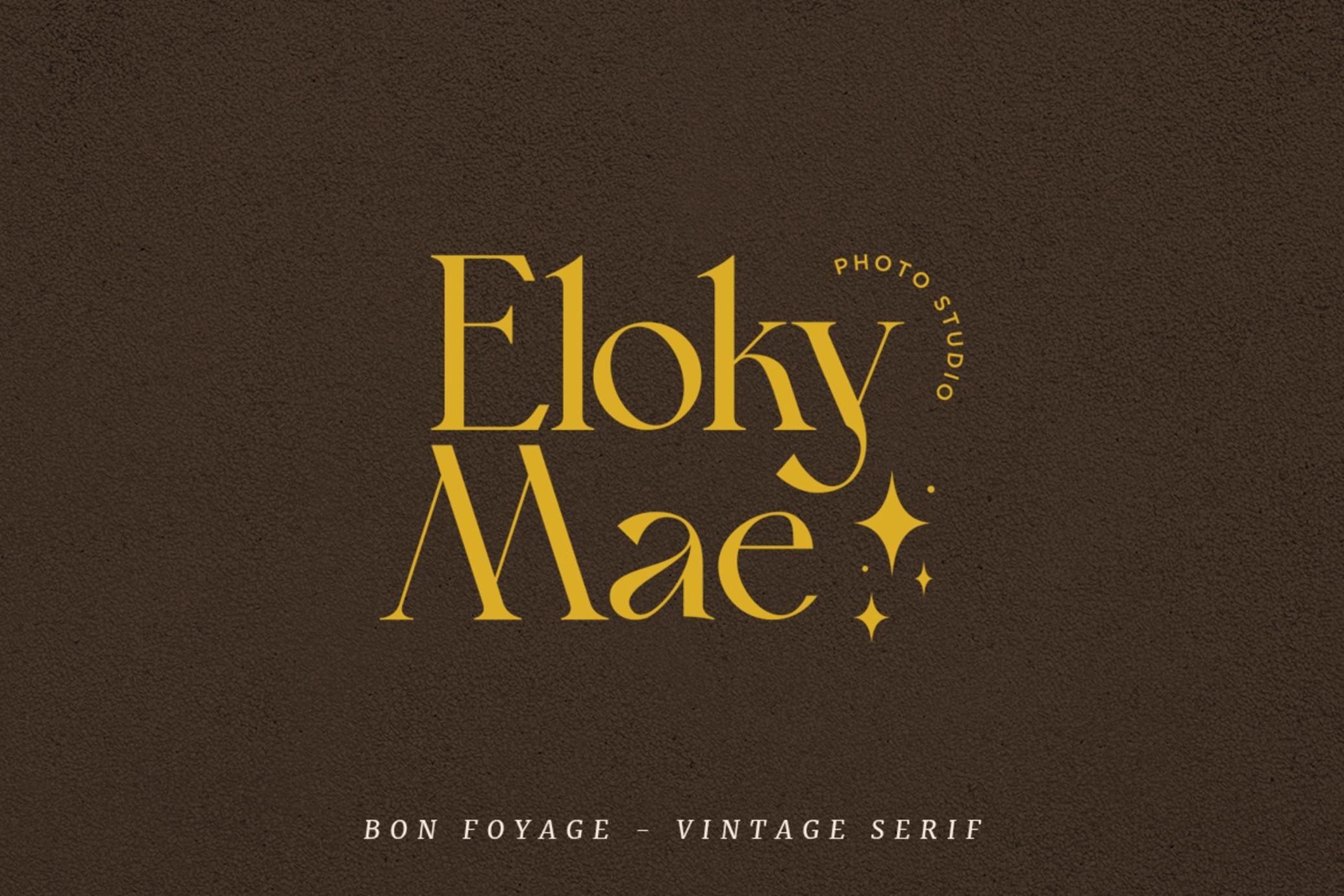 Bon Foyage - Vintage Serif Font