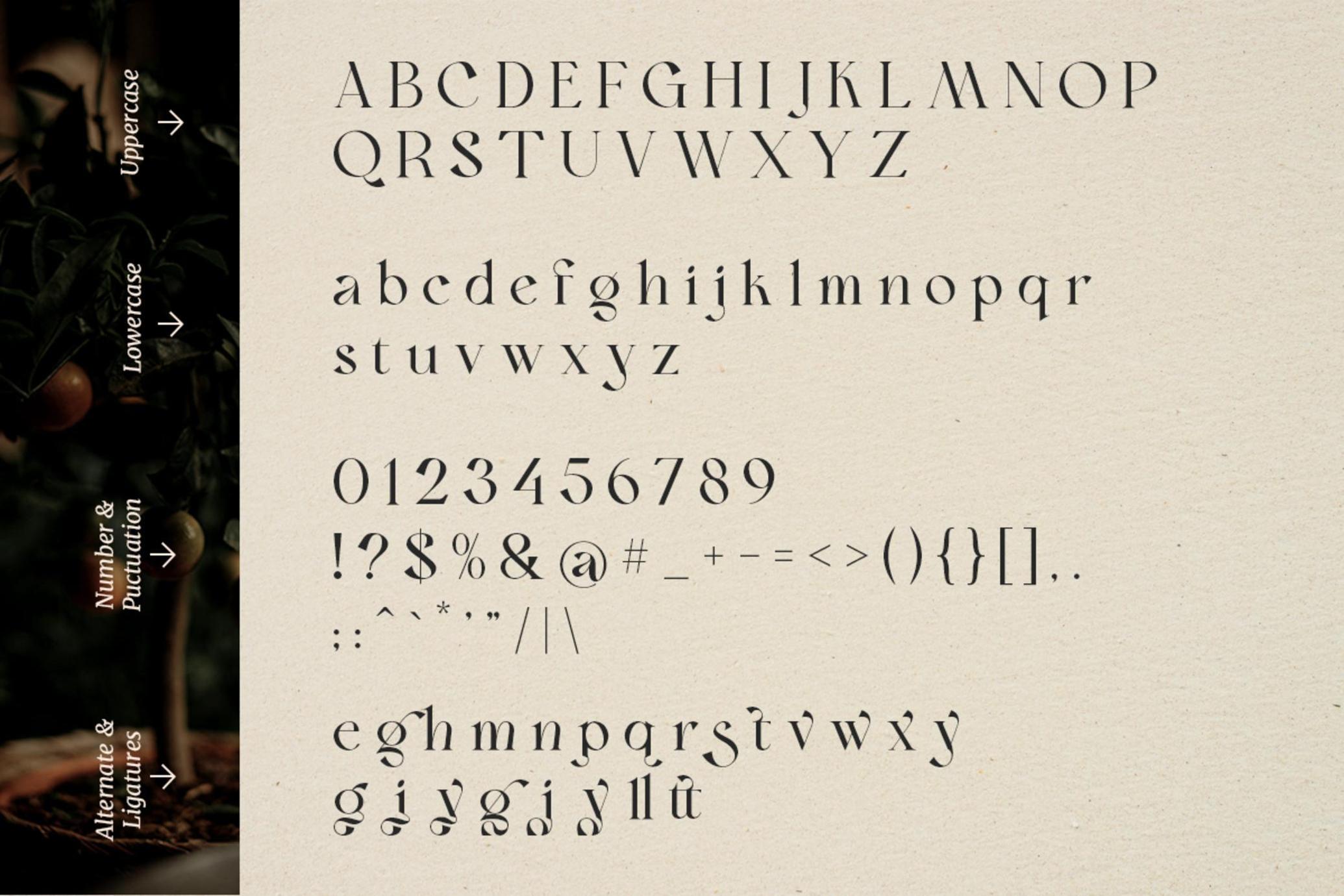 Bon Foyage - Vintage Serif Font