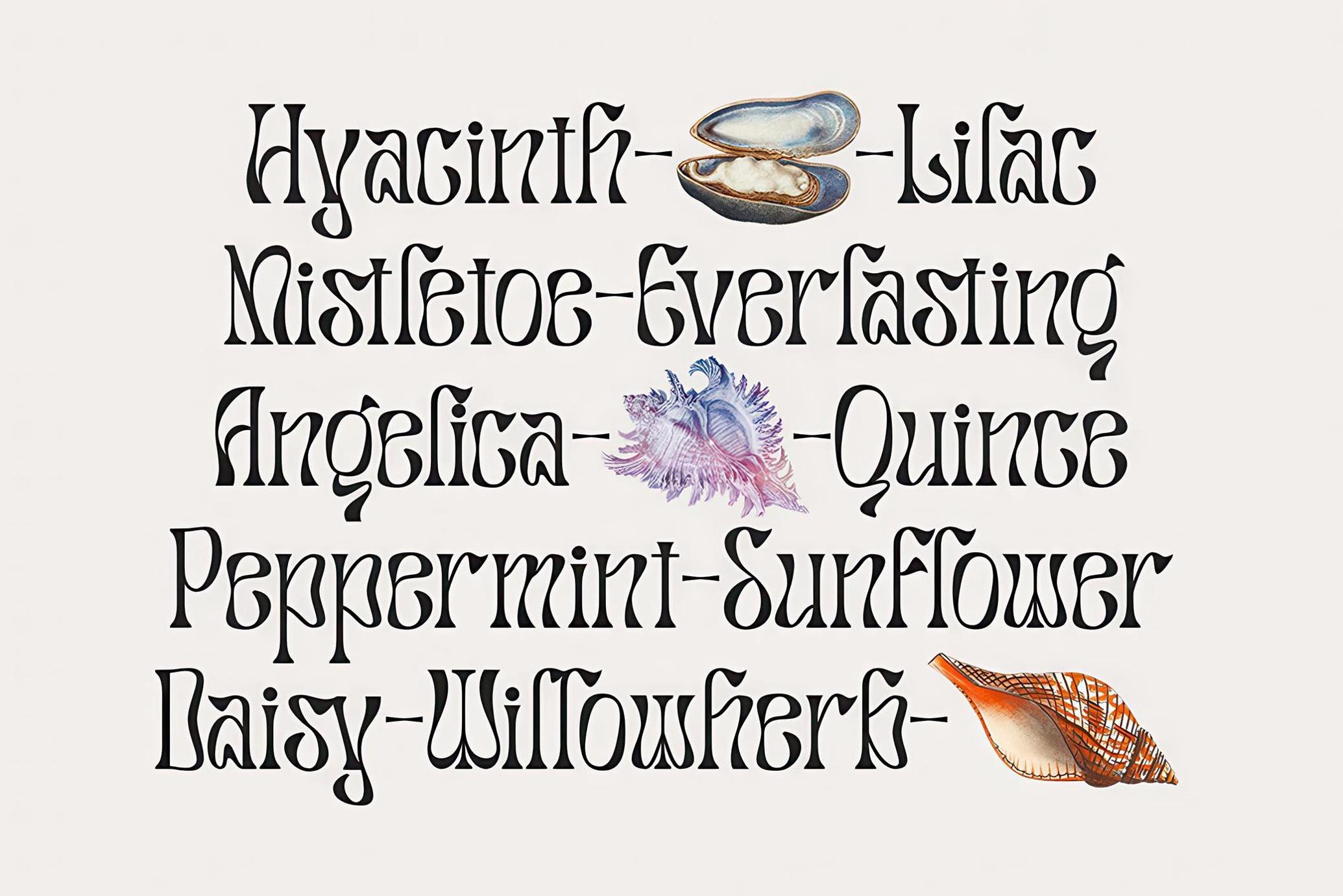 Salty Mussy - Quirky Twisted Display