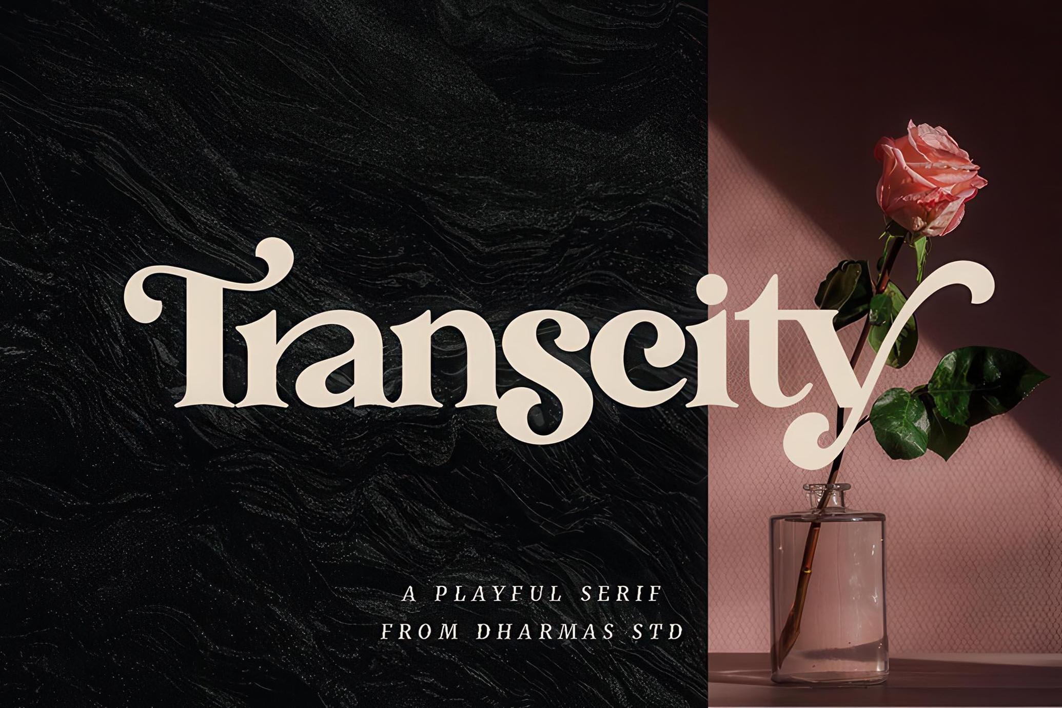 Transcity - A Playful Serif