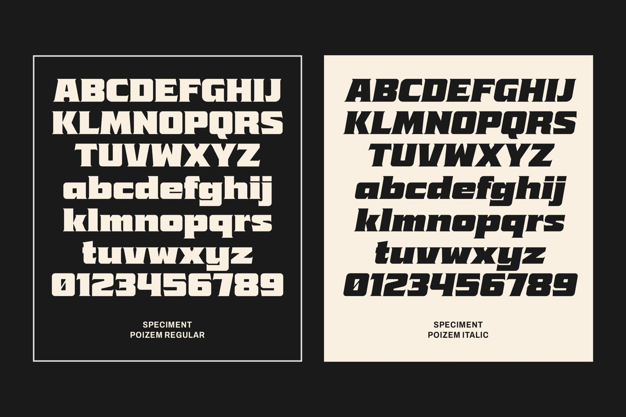 Poizem Serif Typeface