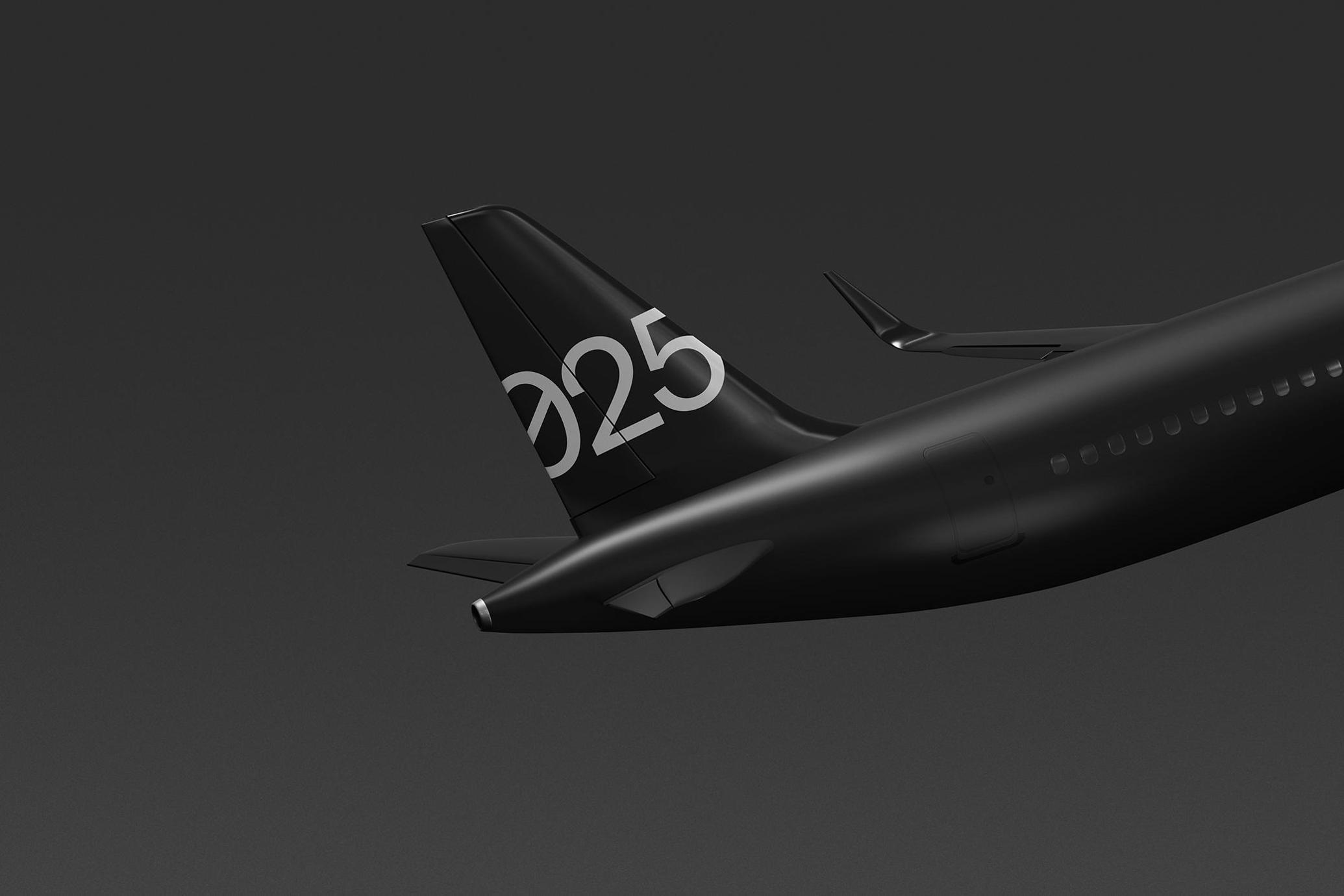 Plane in Flight Mockup