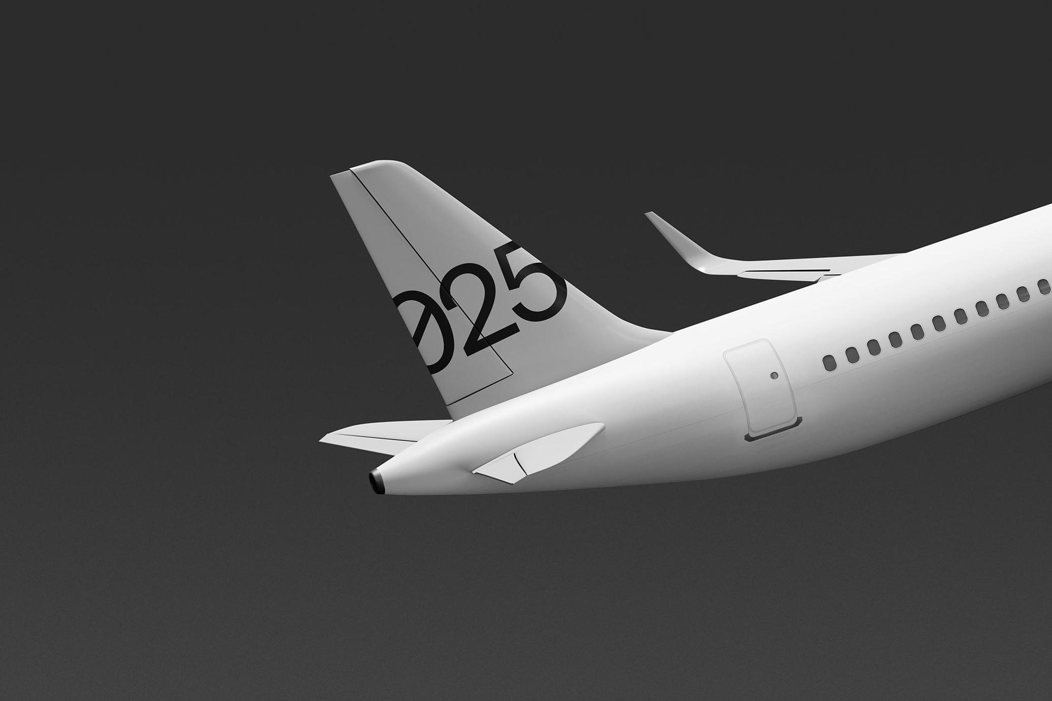 Plane in Flight Mockup