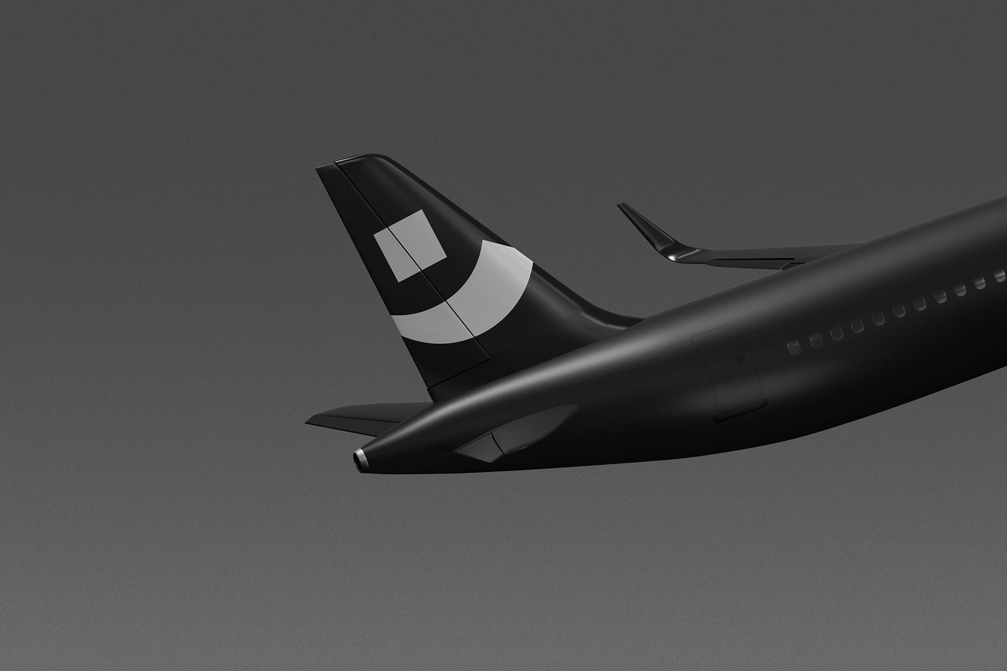 Plane in Flight Mockup