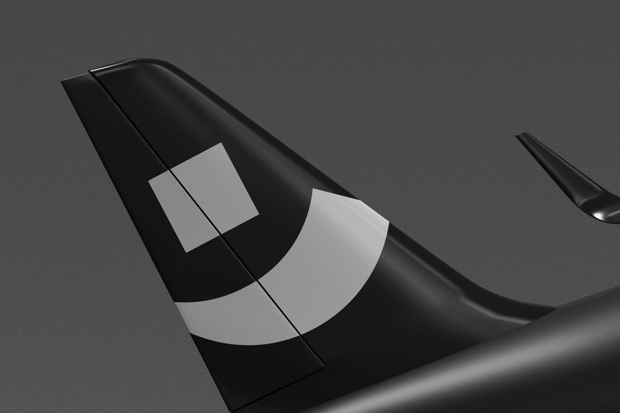 Plane in Flight Mockup