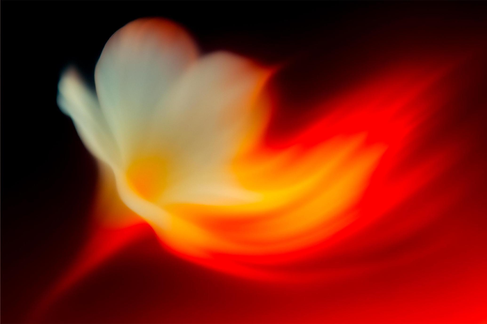 Gradient Dreams Abstract Backgrounds