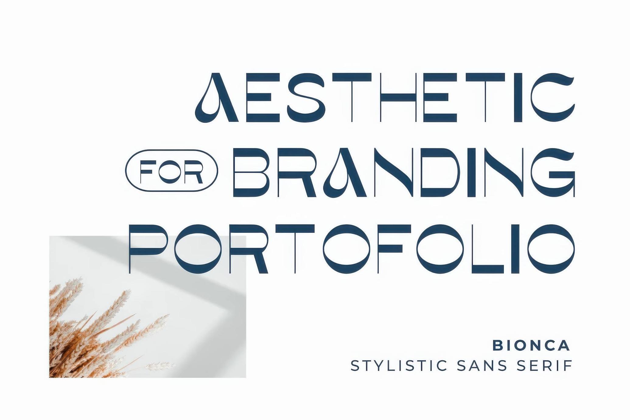 Bionca Stylistic Sans Serif