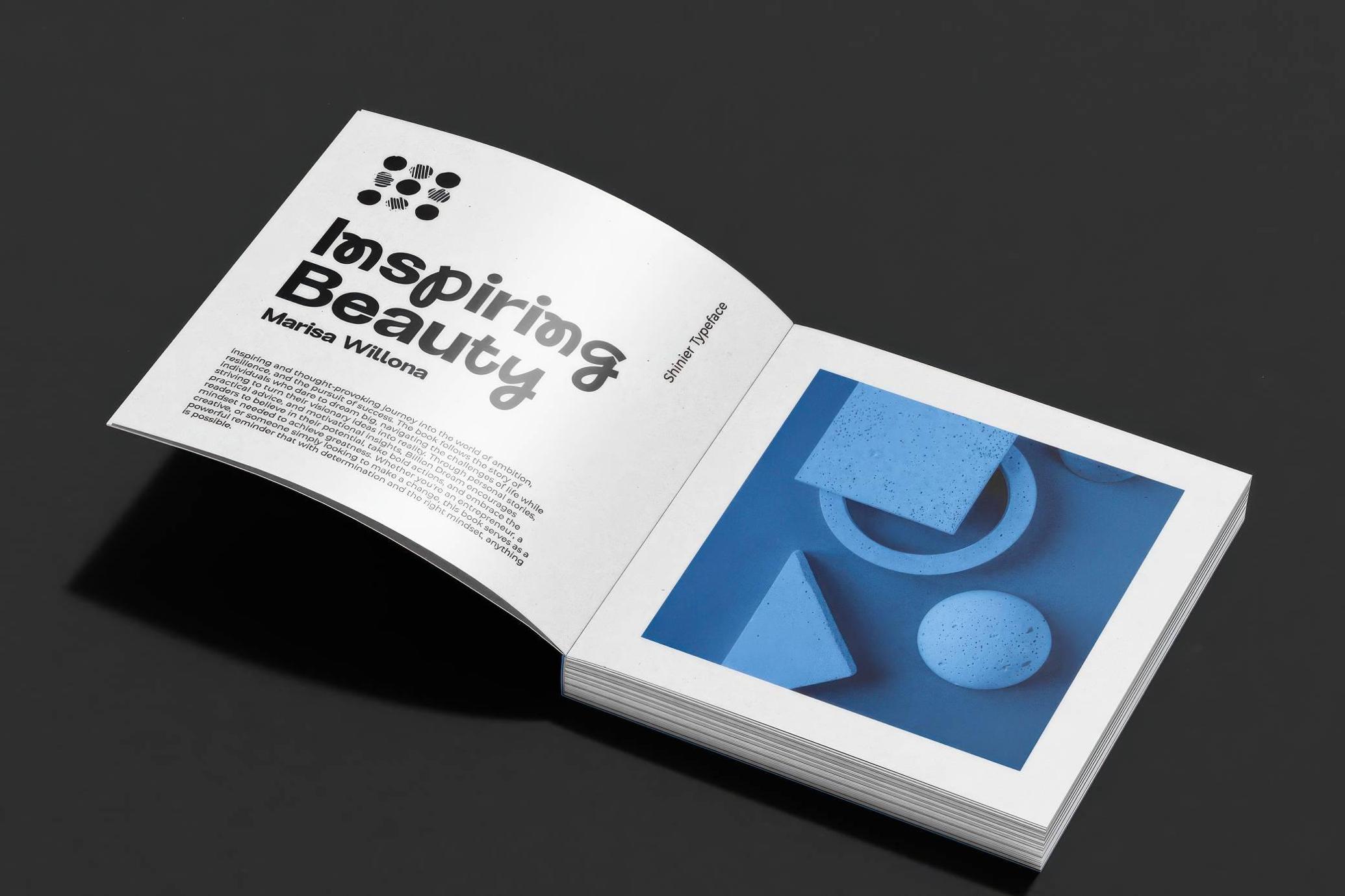 Shinier Sans Serif Font