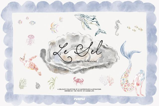 Le Sel: Watercolor Sea Illustrations