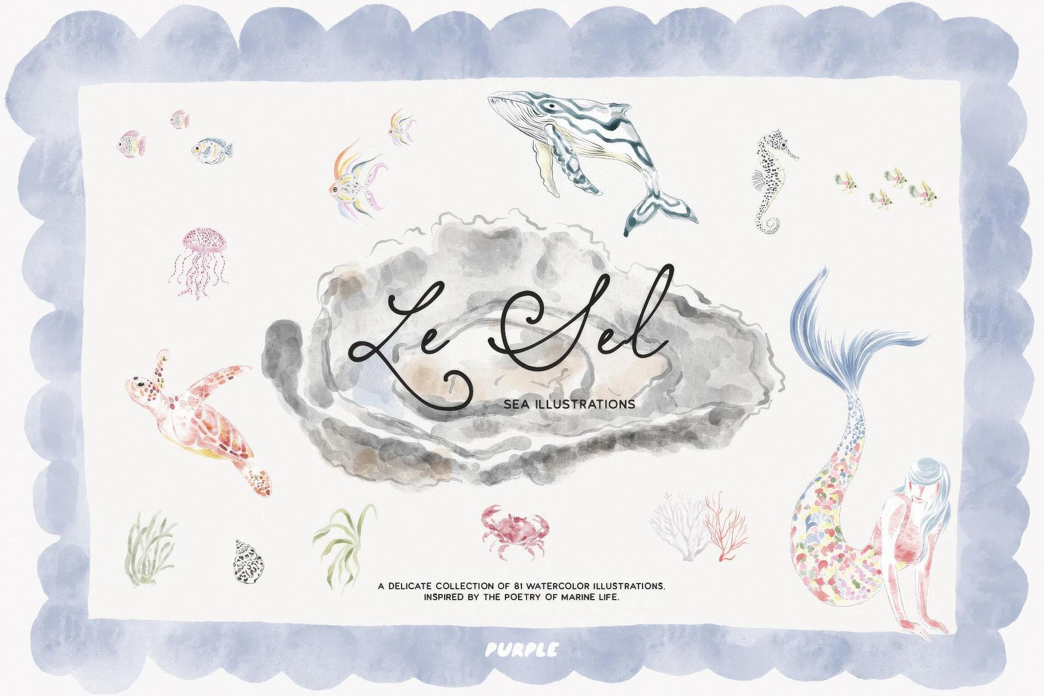 Le Sel: Watercolor Sea Illustrations