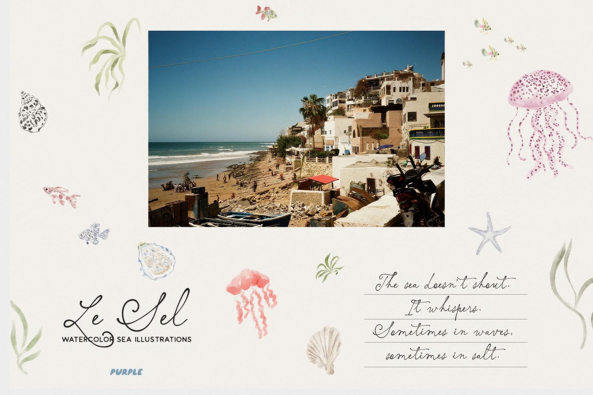 Le Sel: Watercolor Sea Illustrations