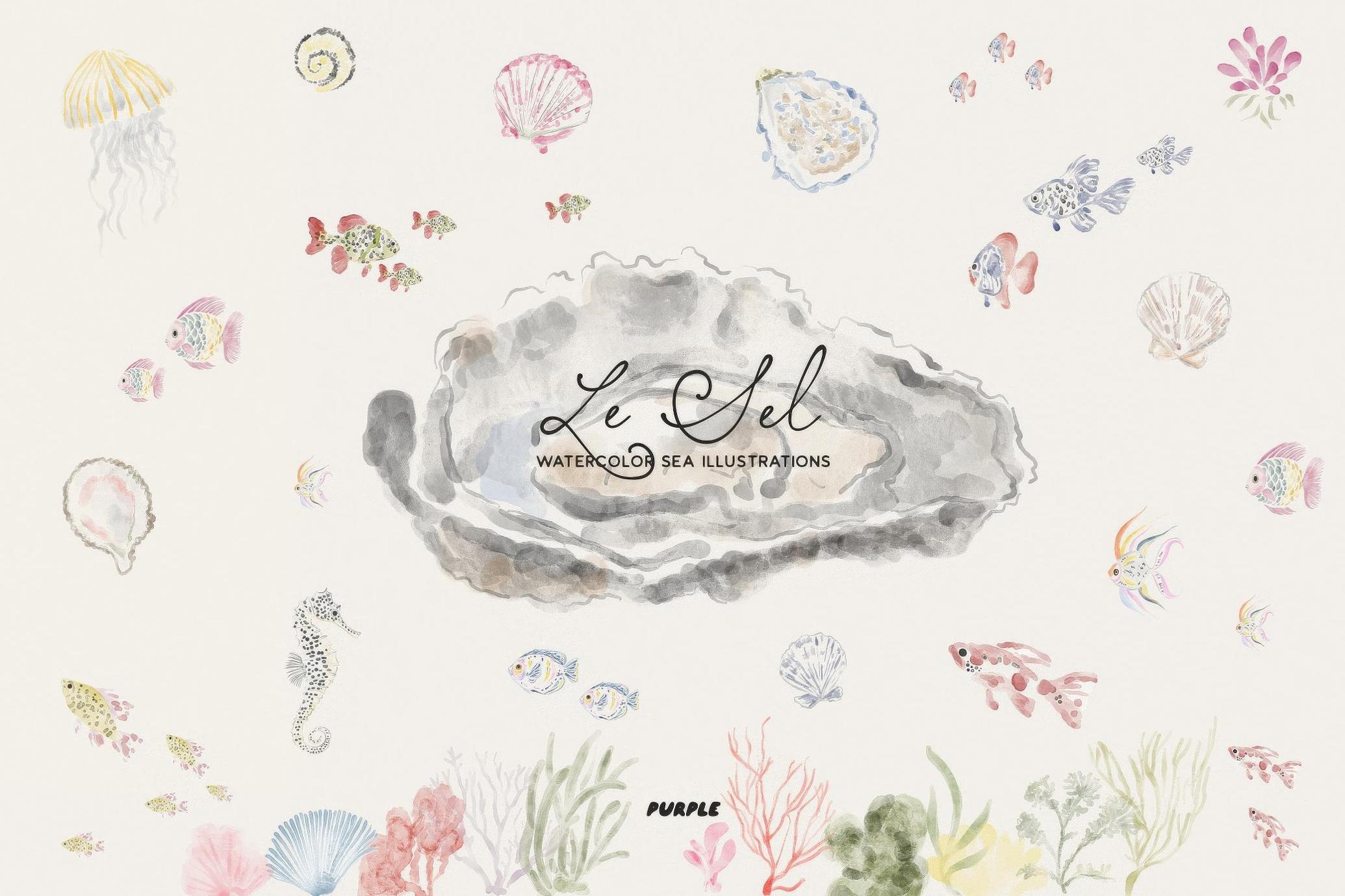 Le Sel: Watercolor Sea Illustrations