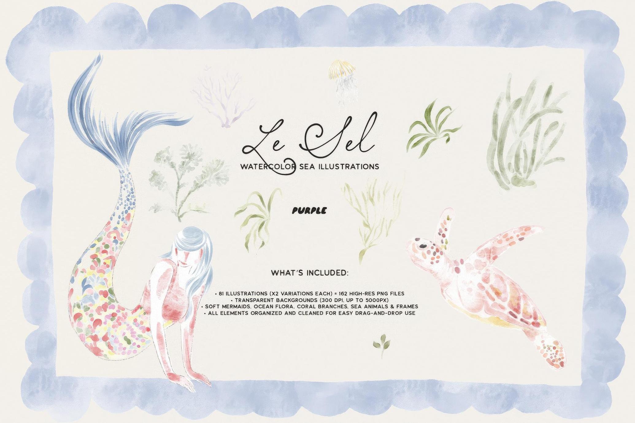 Le Sel: Watercolor Sea Illustrations