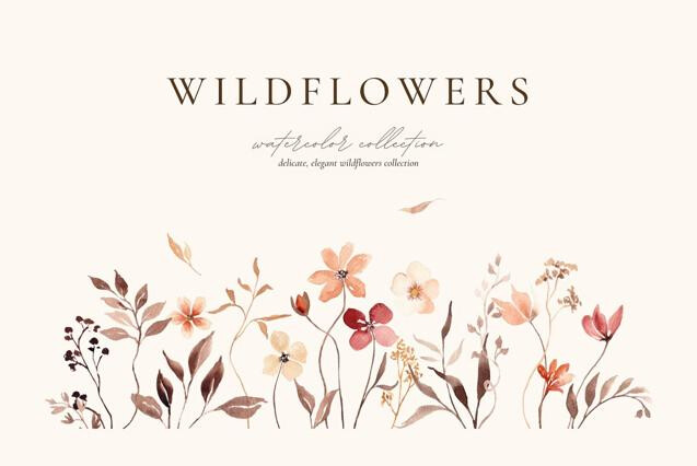Autumn Watercolor Wildflowers