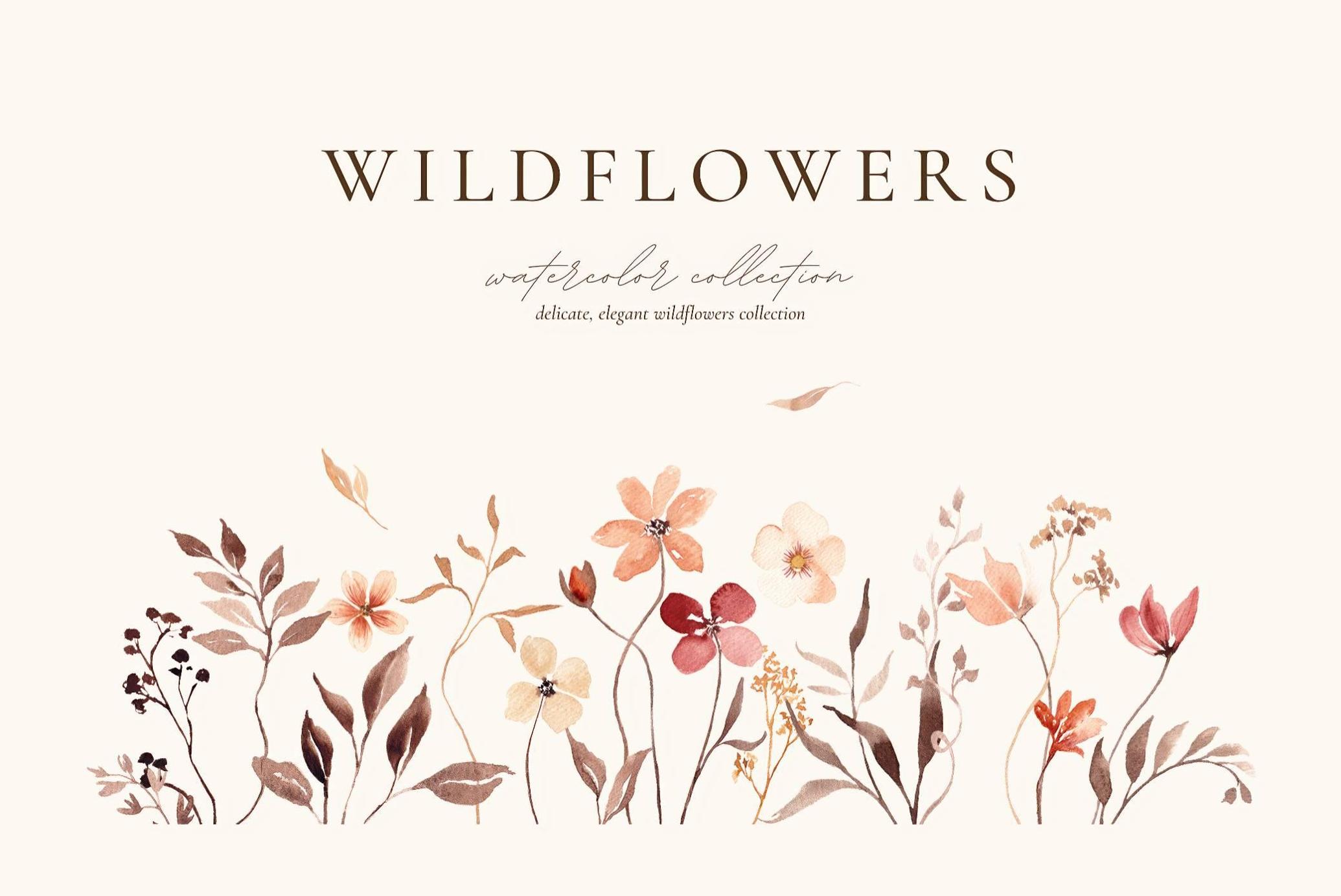 Autumn Watercolor Wildflowers