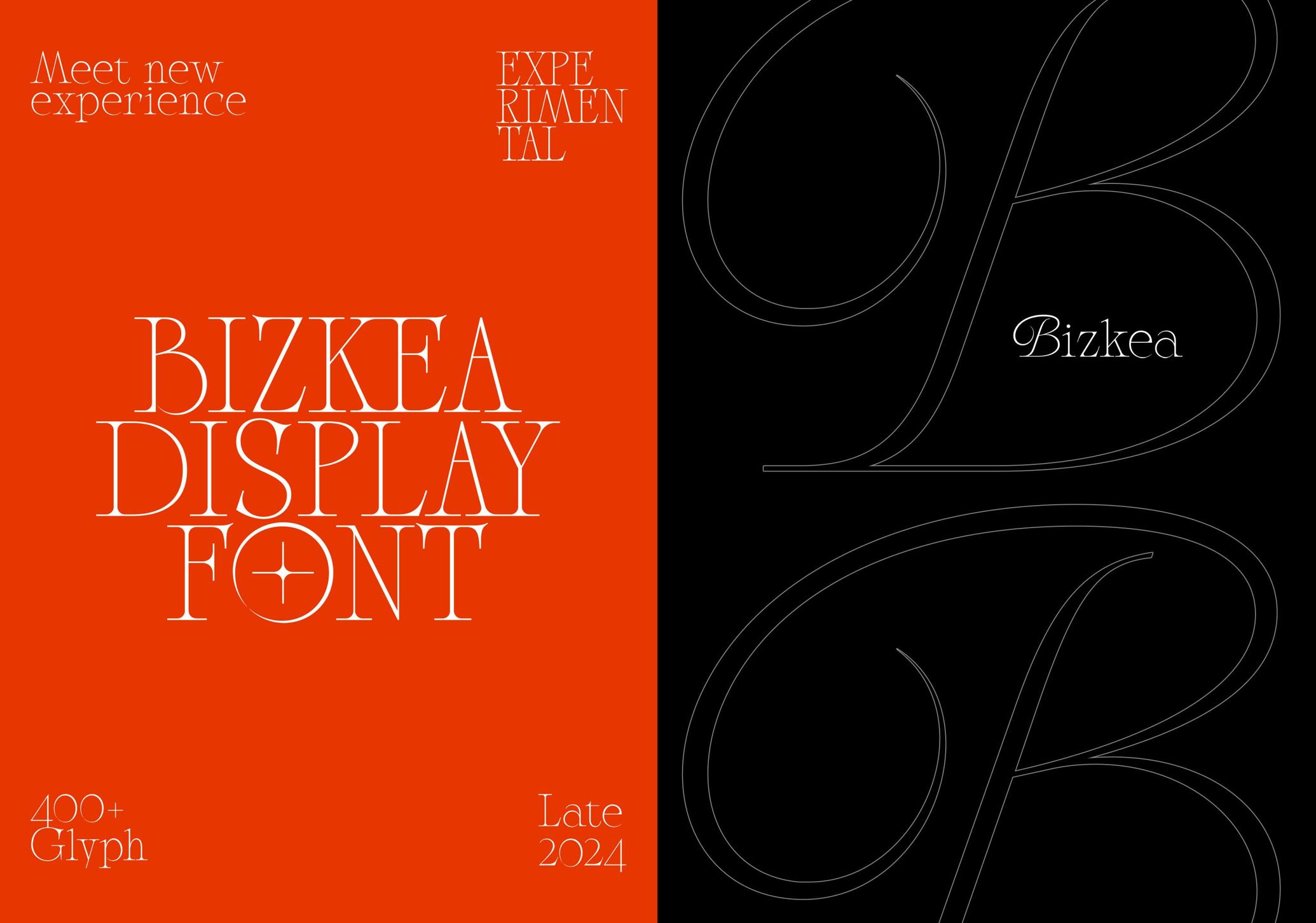Bizkea — Elegant Serif