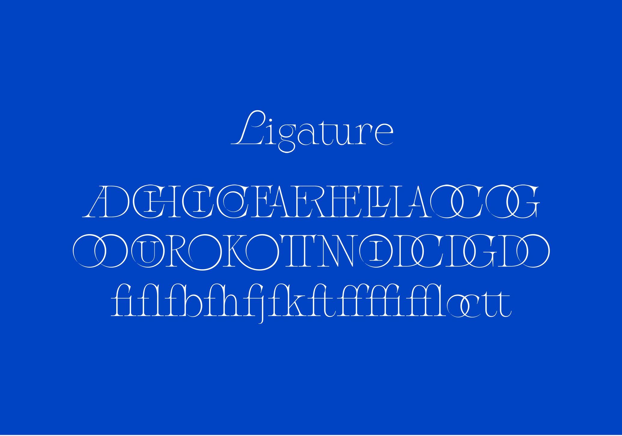 Bizkea — Elegant Serif
