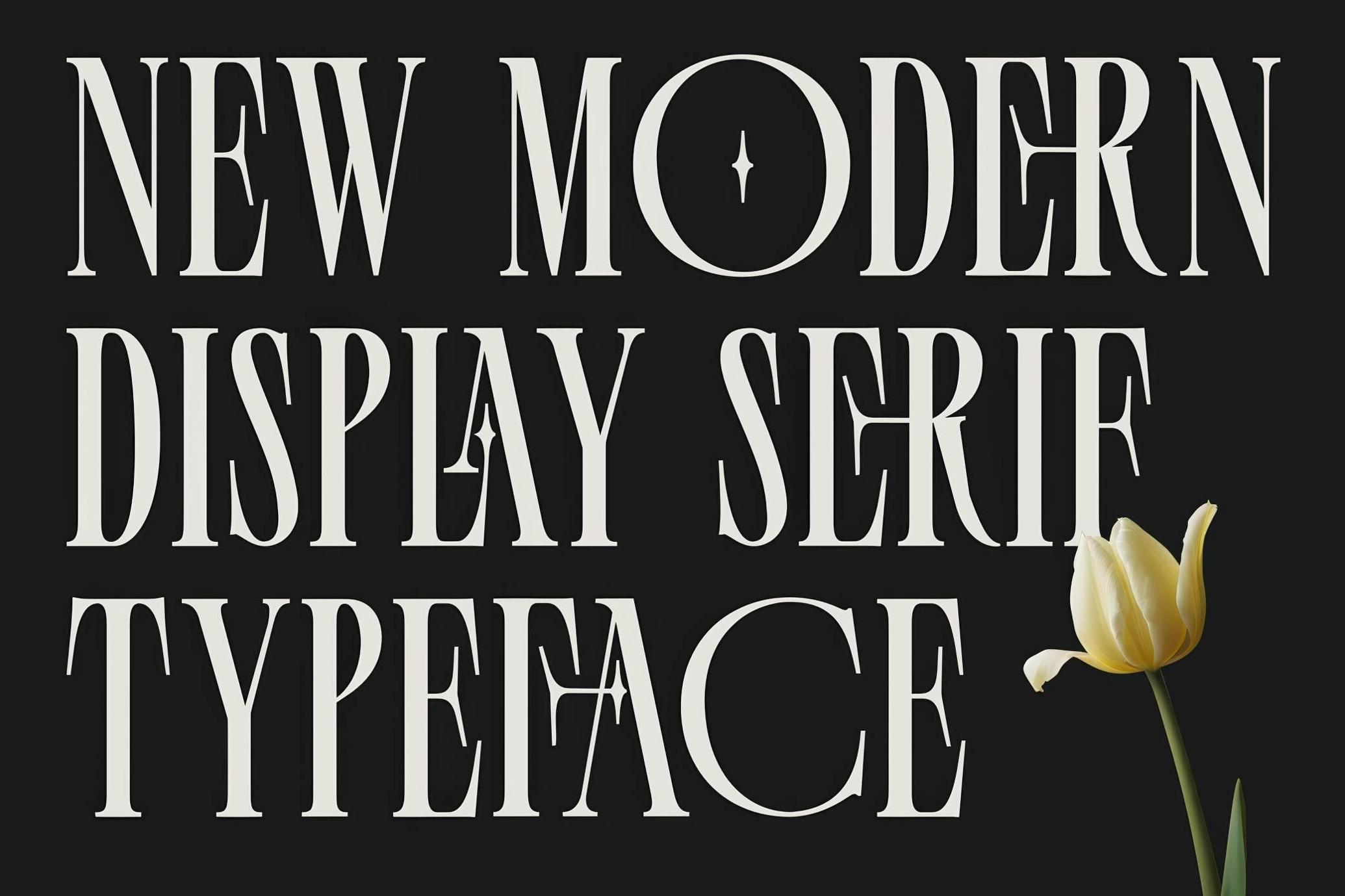 Palmer Florida Display Serif