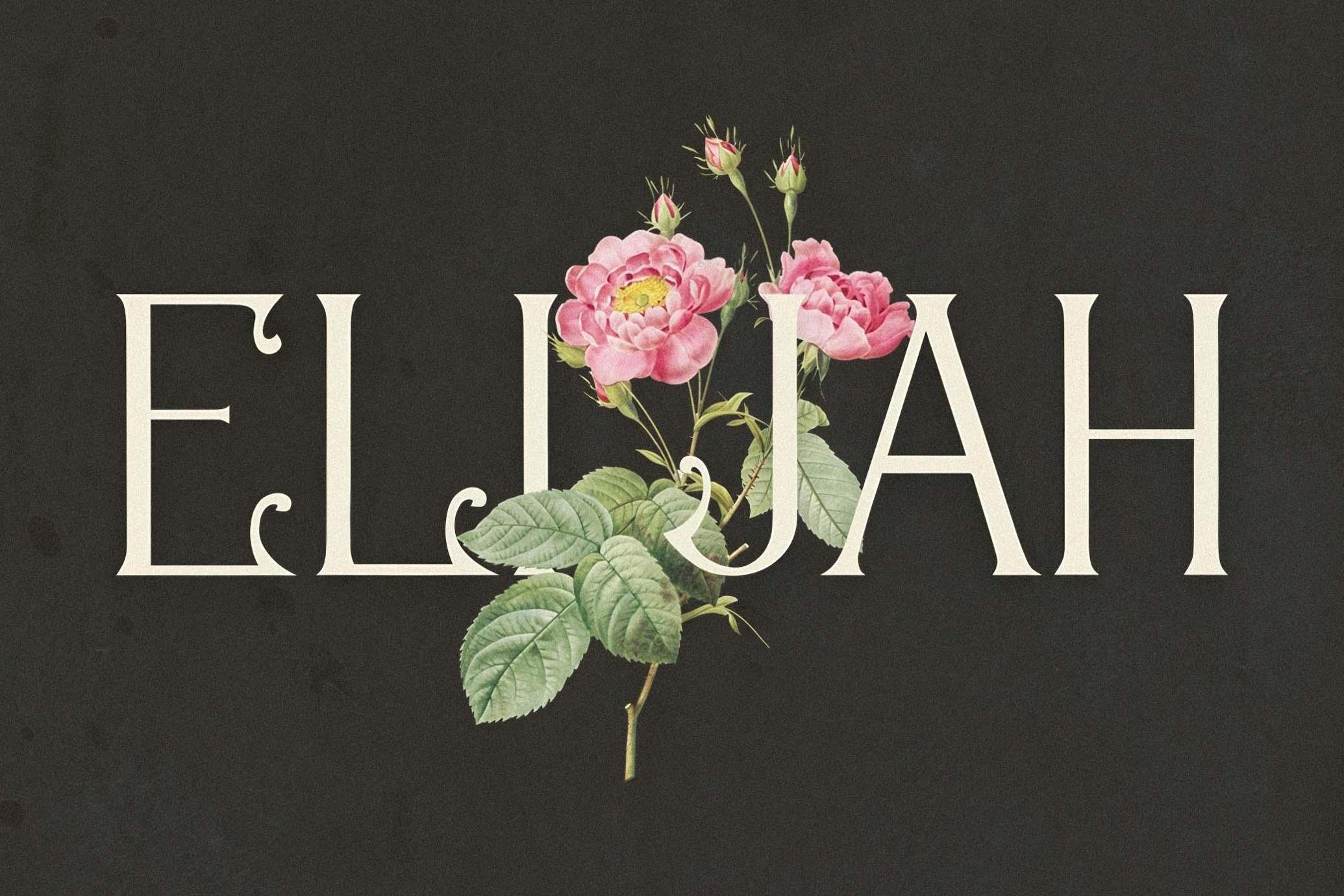 Ageless Heritage - 1900's Typeface