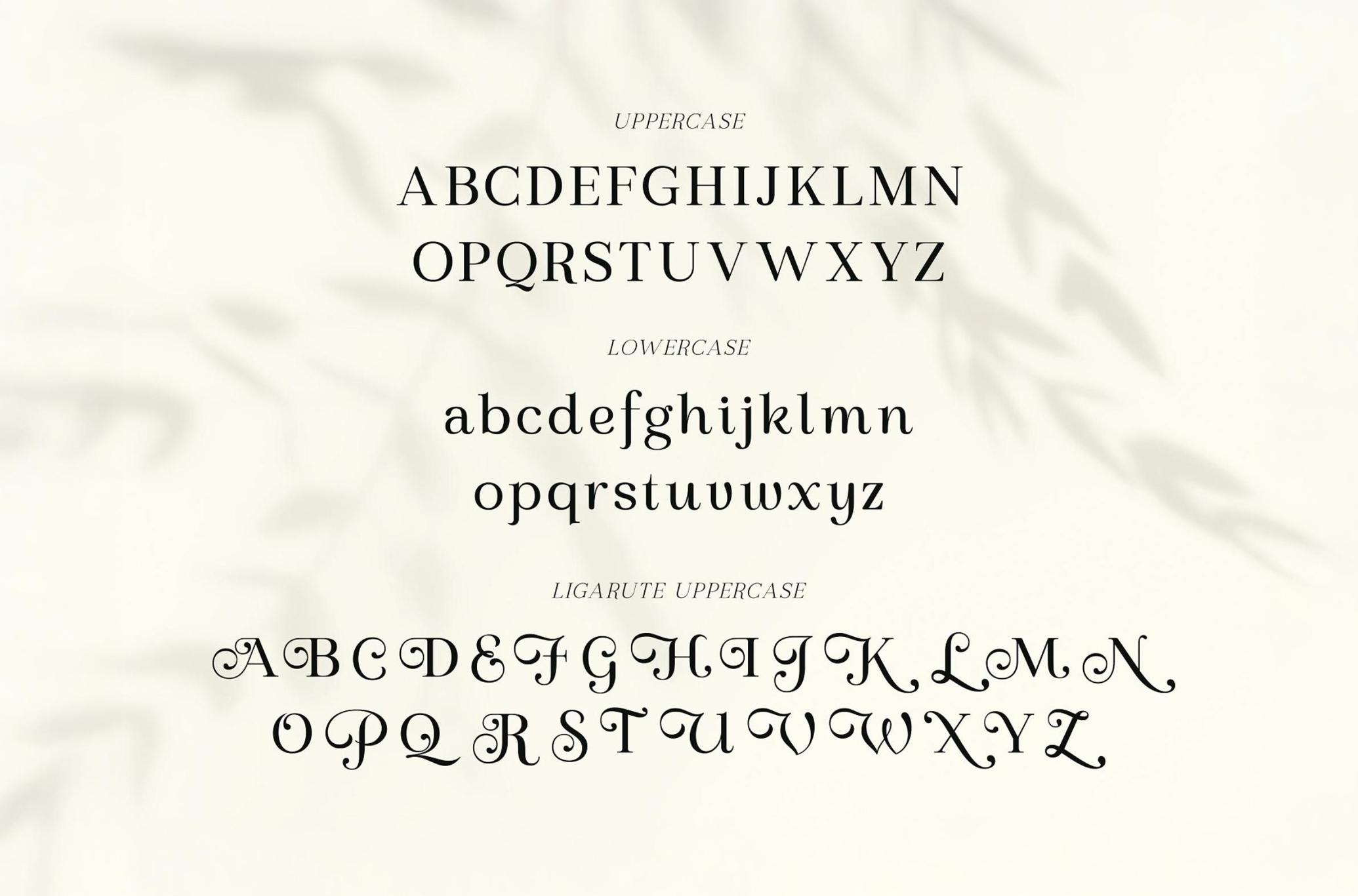 Regal Legacy - Elegant Typeface