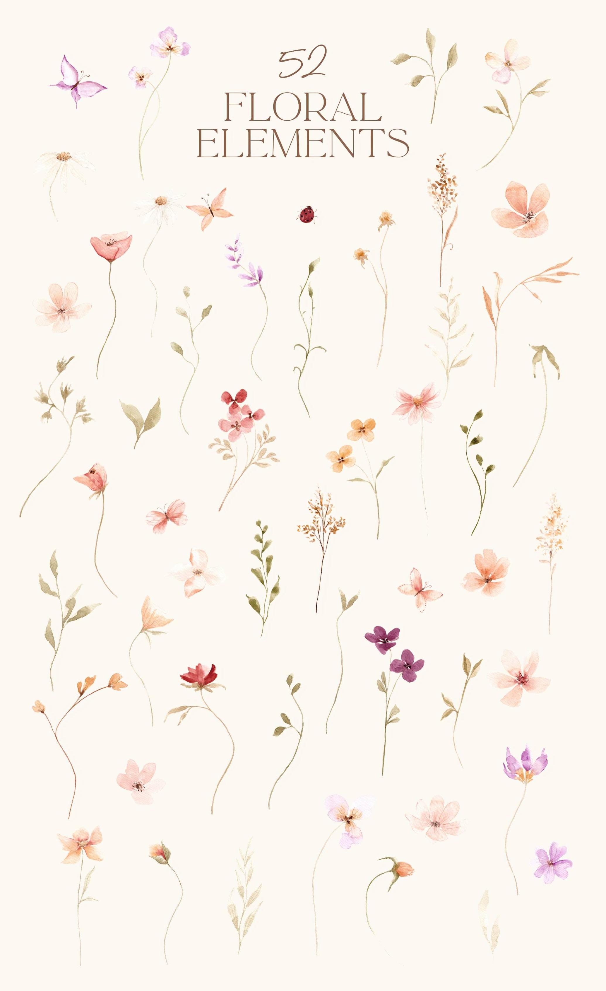 Watercolor Summer Wildflowers